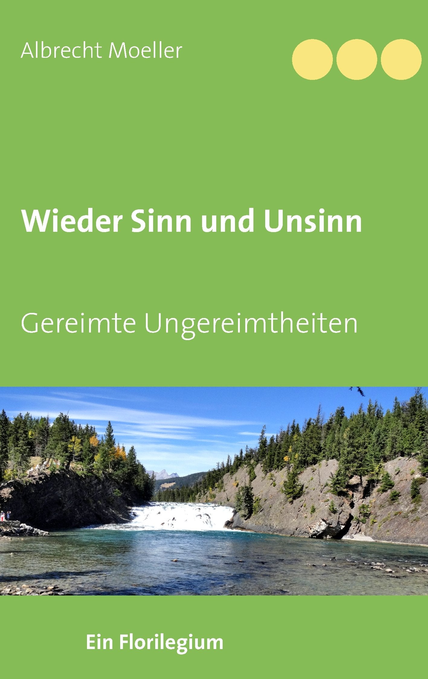 Wieder Sinn und Unsinn: Gereimte Ungereimtheiten Poetry