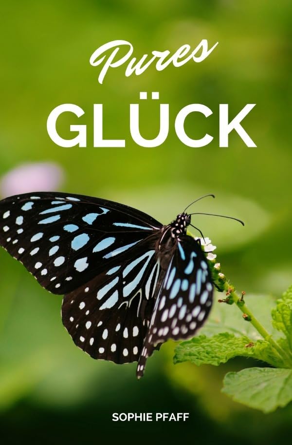 Pures GLÜCK: Das kleine Glück ist manchmal das GRÖSSTE Business, Finance & Career