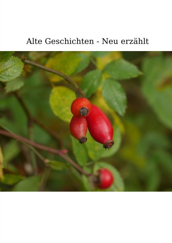 Alte Geschichten - Neu erzählt. Poetry
