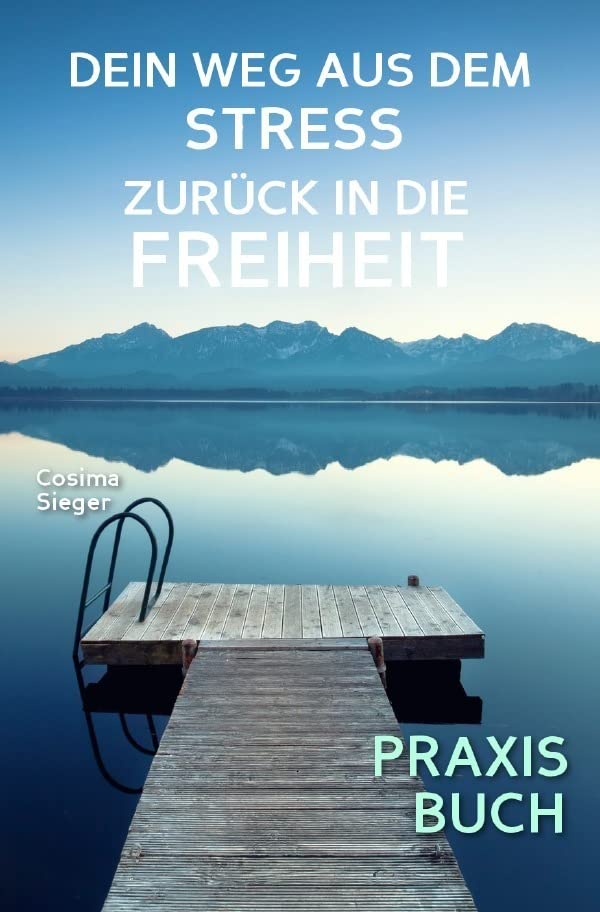 Stress: DEIN WEG AUS STRESS UND BURNOUT ZURÜCK IN DIE FREIHEIT! Wie Du aus Stress und Burnout hinaus zurück zu Dir selbst findest!: Wie Du dauerhaft ... tiefe Gelassenheit und innere Ruhe findest! Business, Finance & Career