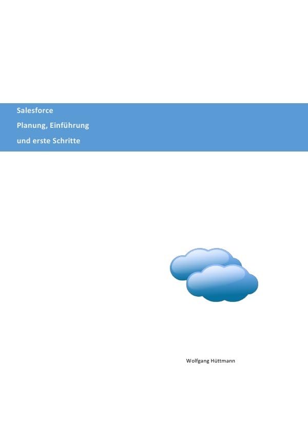 Salesforce Planung, Einführung und erste Schritte Business, Finance & Career