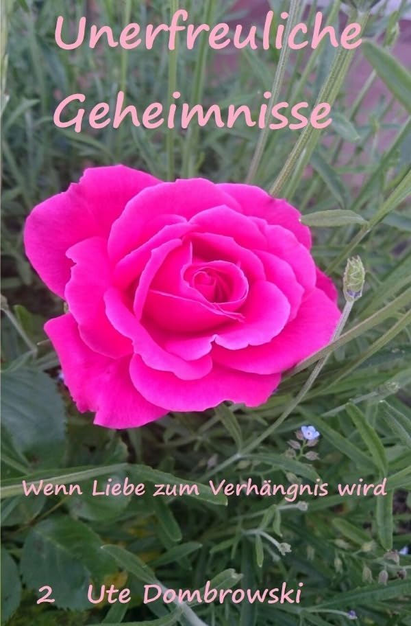 Unerfreuliche Geheimnisse 2: Wenn Liebe zum Verhängnis wird (Nelly) Contemporary literature