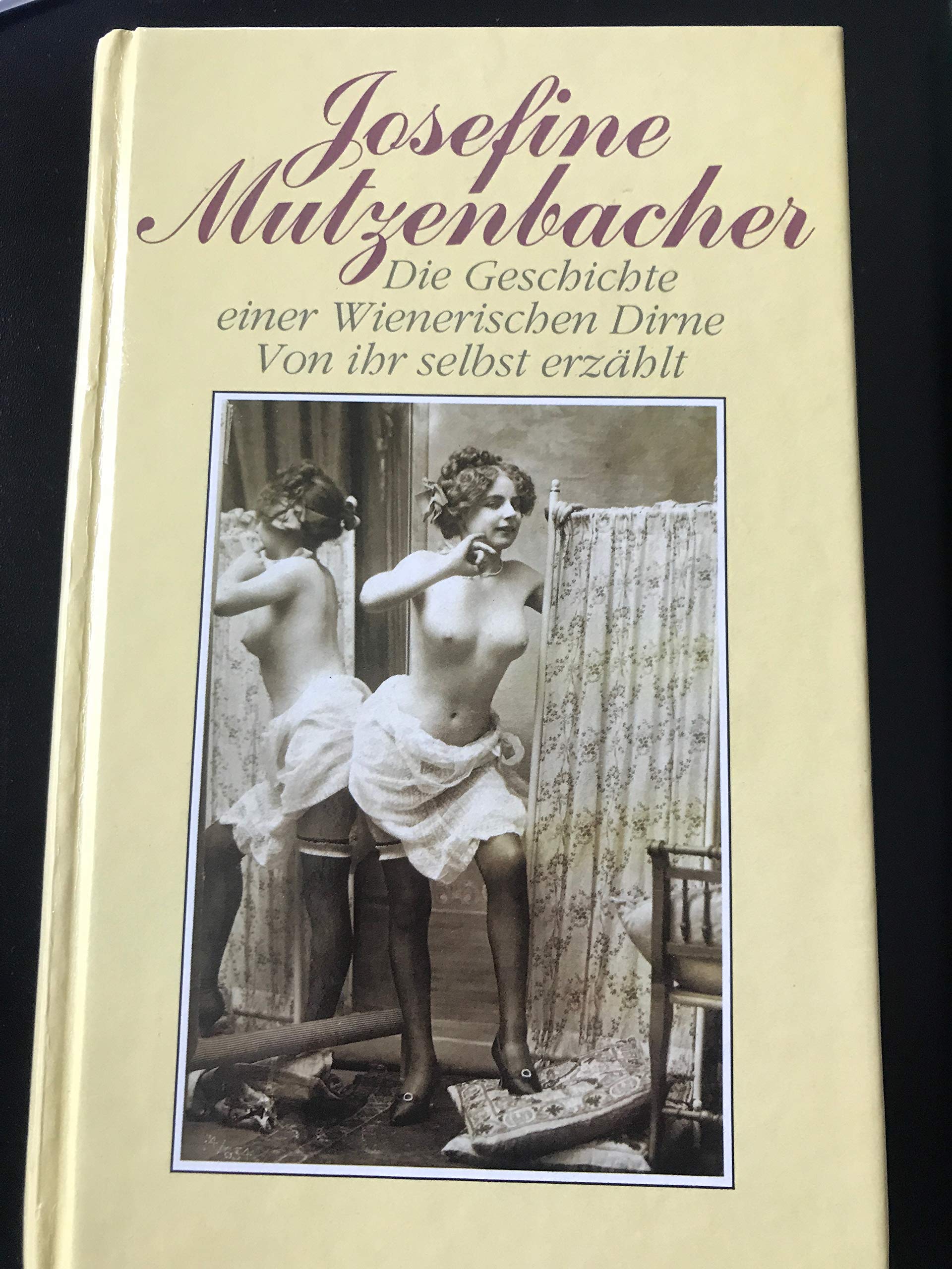 Die Geschichte einer Wienerischen Dirne von ihr selbst erzählt Contemporary literature