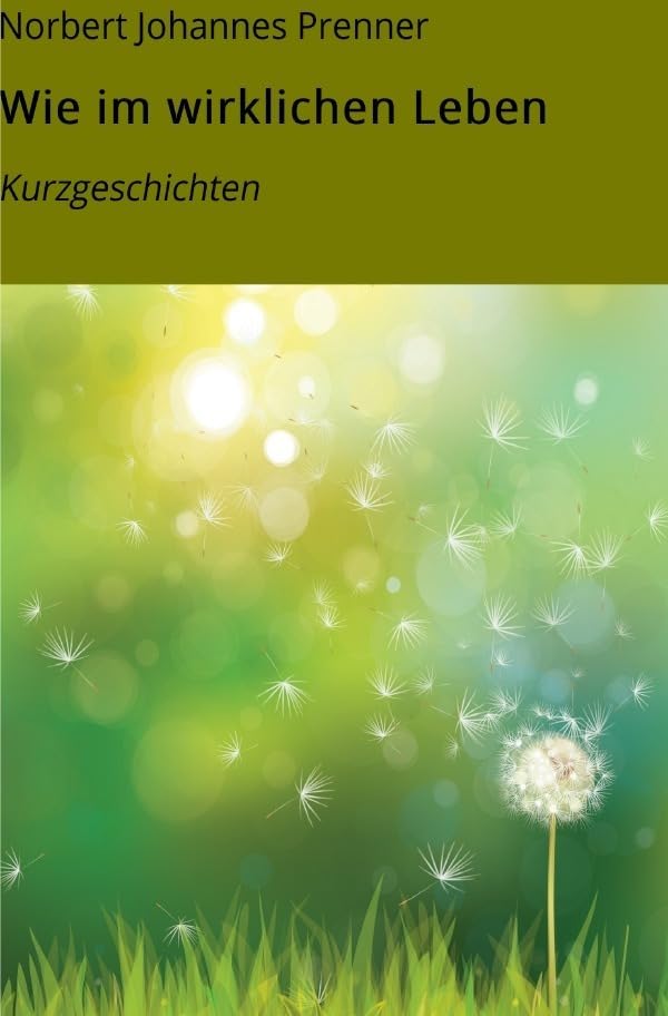 Wie im wirklichen Leben: Kurzgeschichten Teil I book