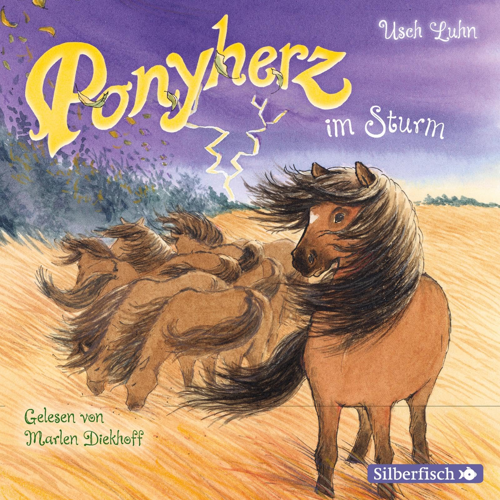 Ponyherz 14: Ponyherz im Sturm: 1 CD (14) Novels & Short Stories