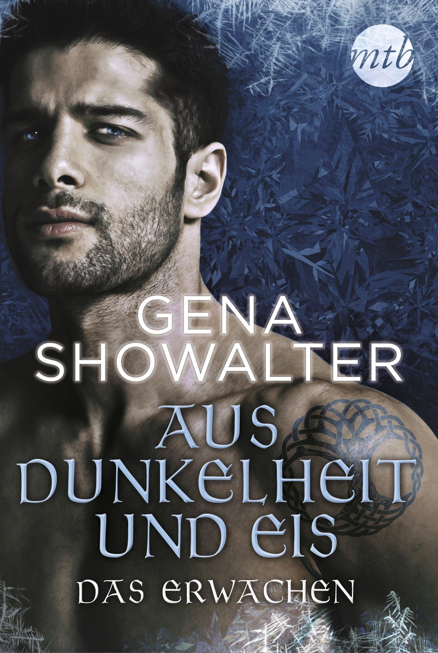 Aus Dunkelheit und Eis - Das Erwachen Contemporary literature