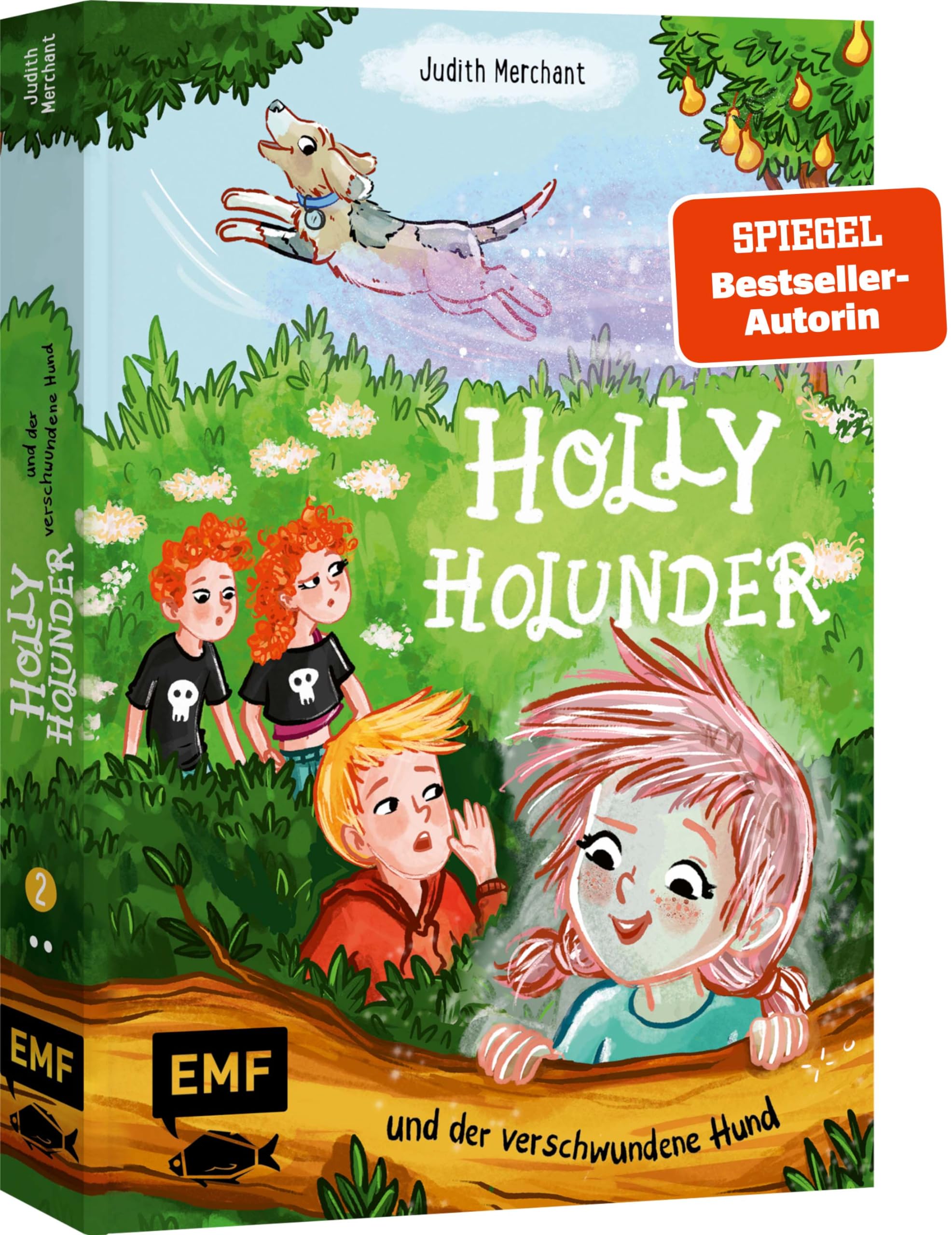 Holly Holunder und der verschwundene Hund (Band 2) Non-fiction