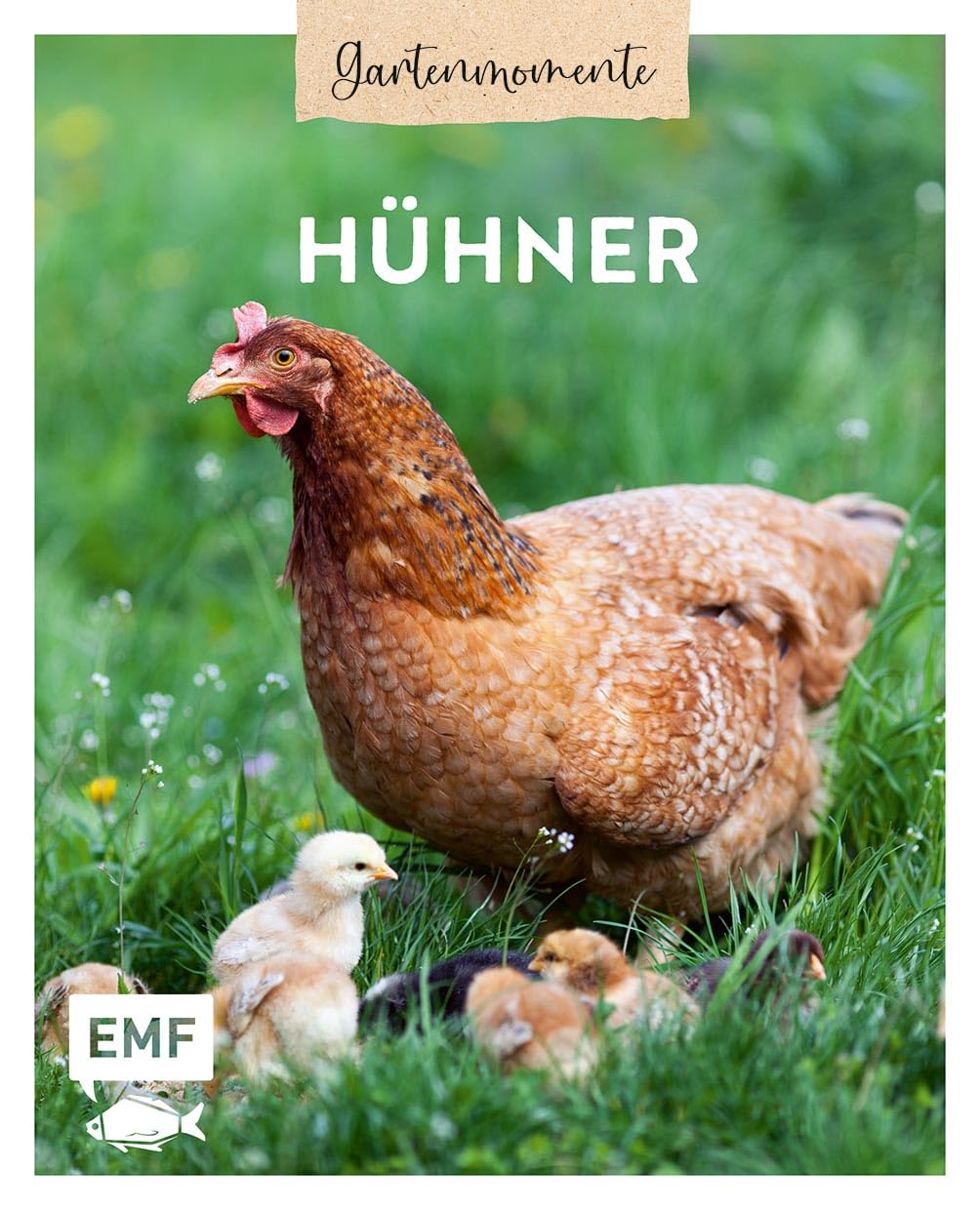 Gartenmomente: Hühner Garden & Plants