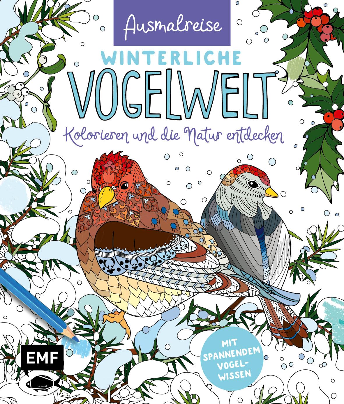 Ausmalreise Winterliche Vogelwelt Film, Art & Culture
