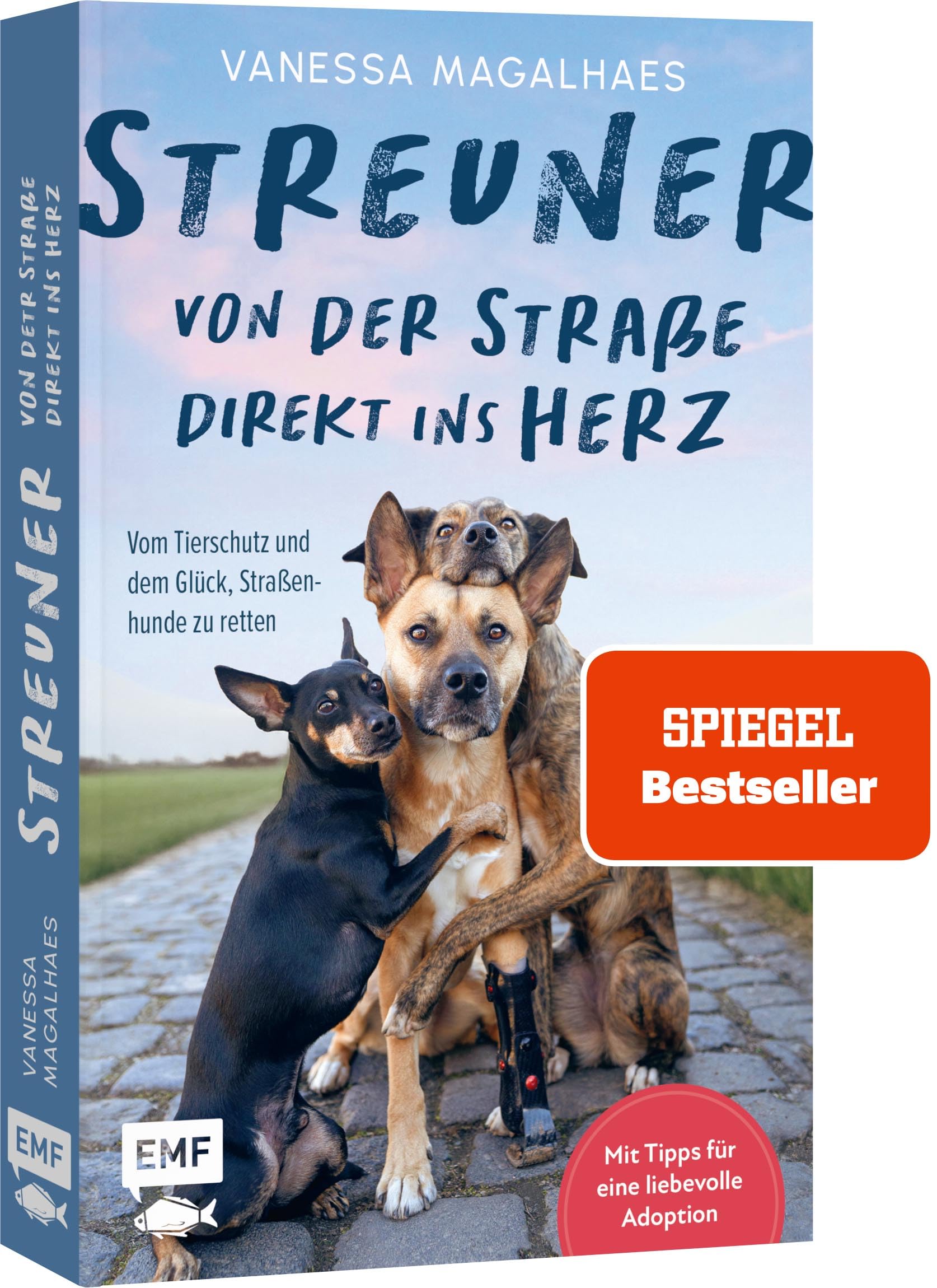 Streuner - von der Straße direkt ins Herz Books