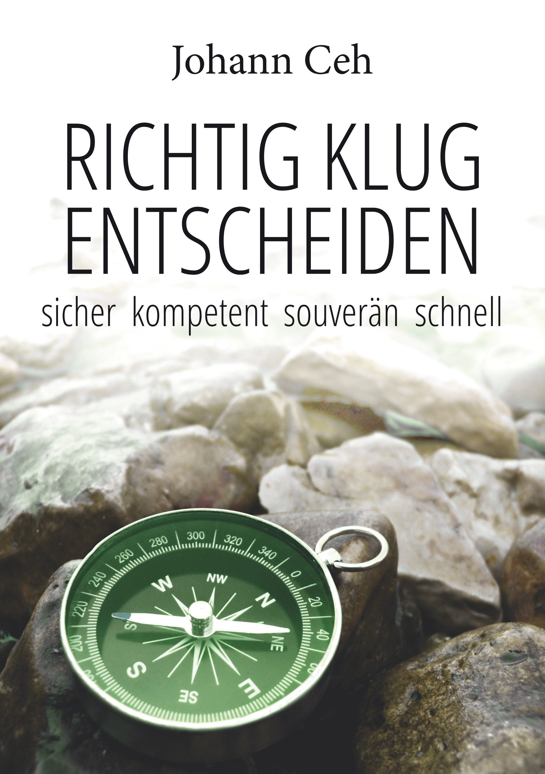 Richtig klug entscheiden: Sicher kompetent souverän schnell Business, Finance & Career