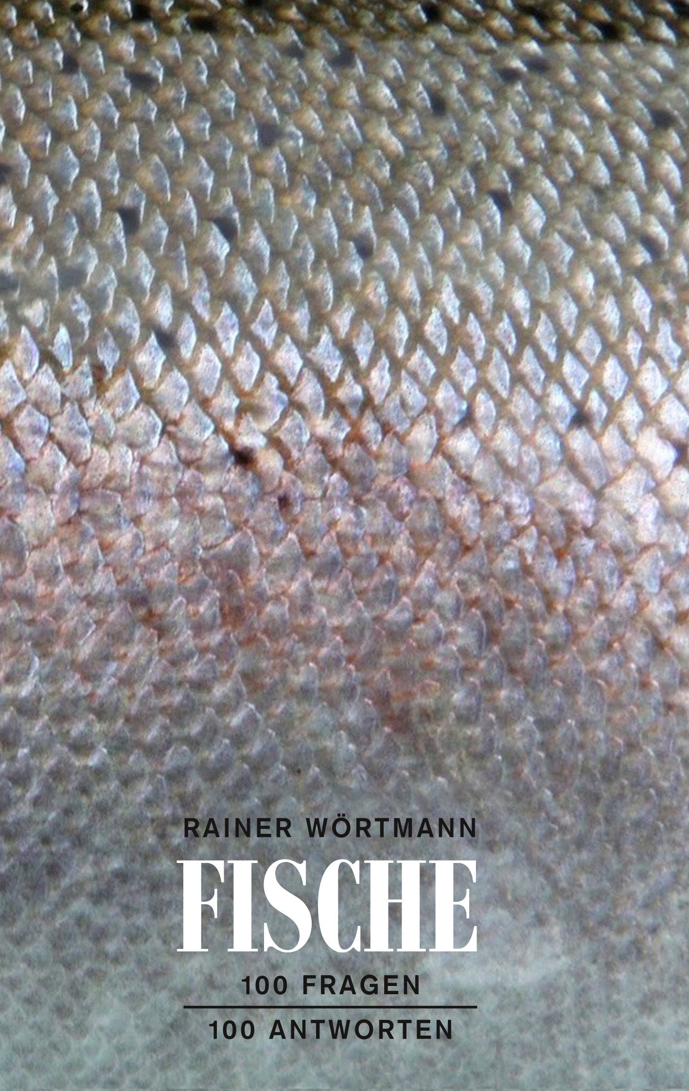 Fische: 100 Fragen - 100 Antworten Mathematics