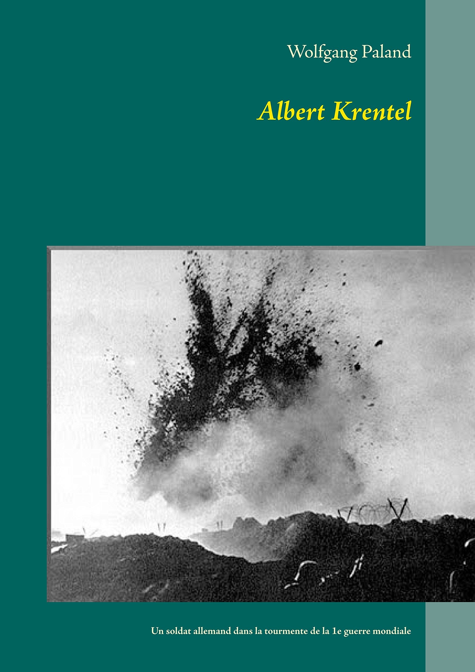 Albert Krentel: Un soldat allemand dans la tourmente de la 1e guerre mondiale Books