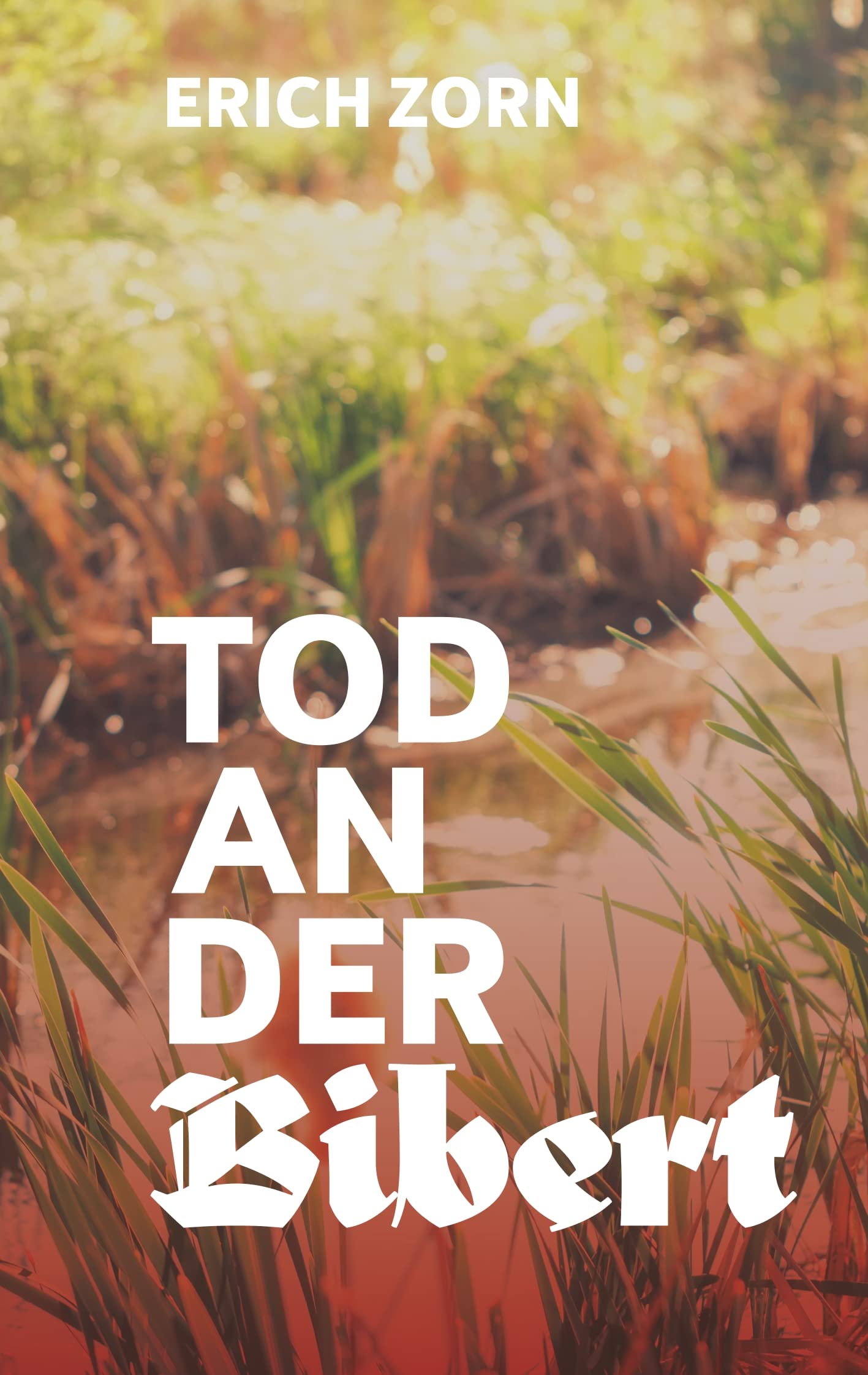 Tod an der Bibert: Eine Zirndorf-Geschichte Contemporary literature