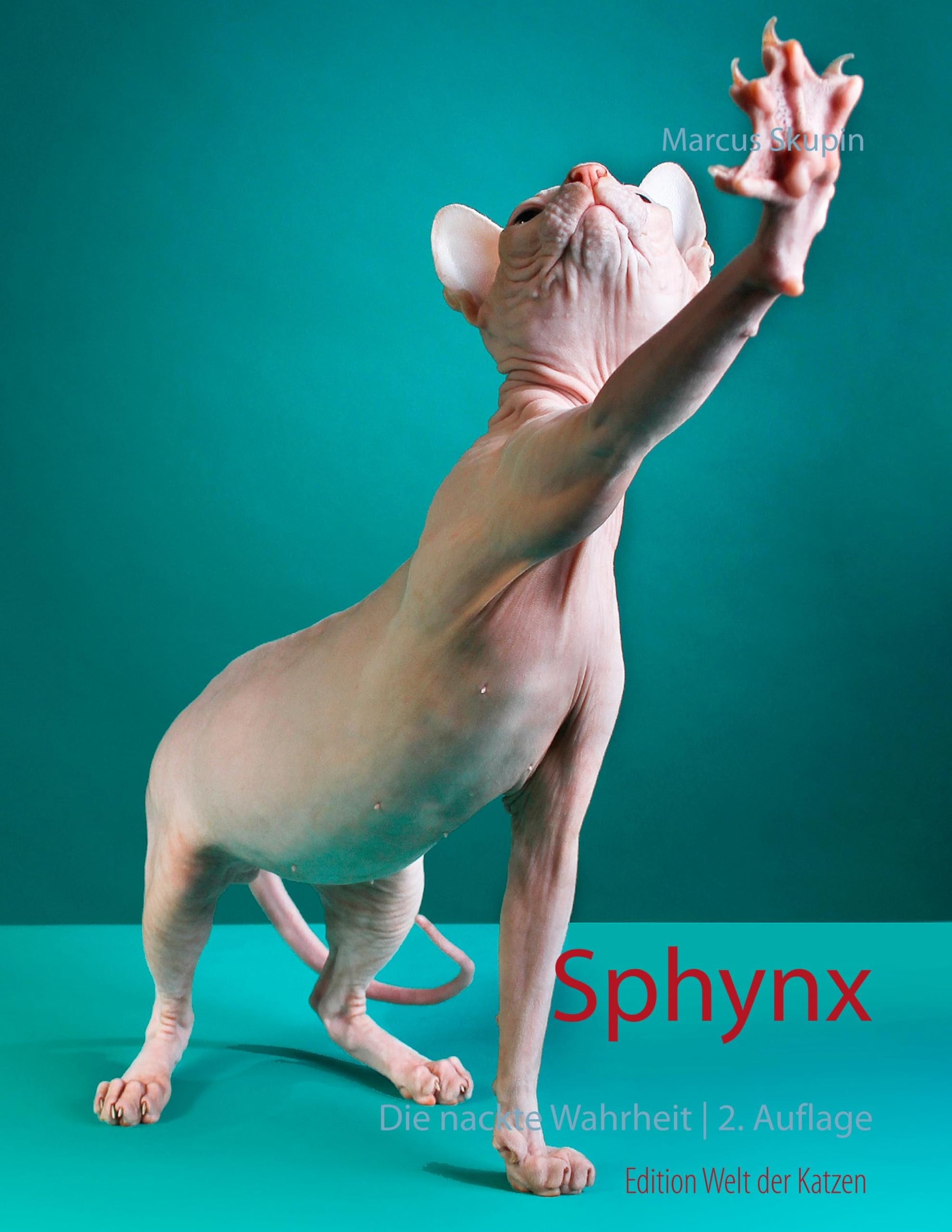 Sphynx Pets