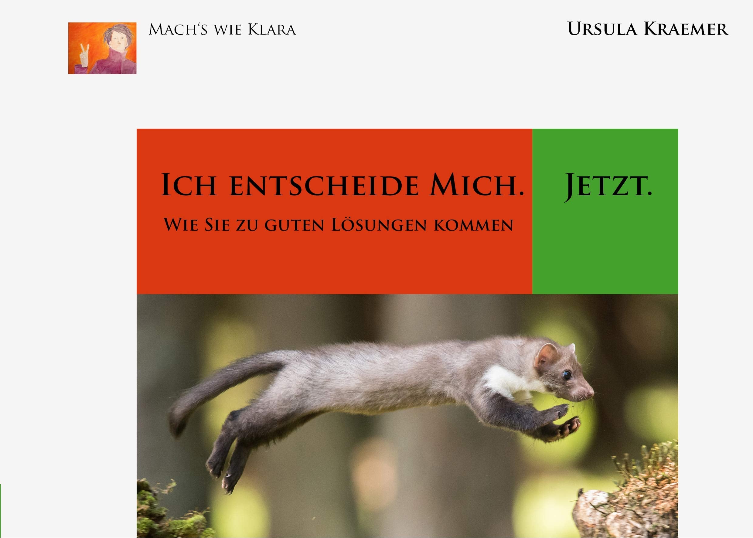 Ich entscheide mich. Jetzt: Wie Sie zu guten Lösungen kommen (Mach's wie Klara) Lifestyle