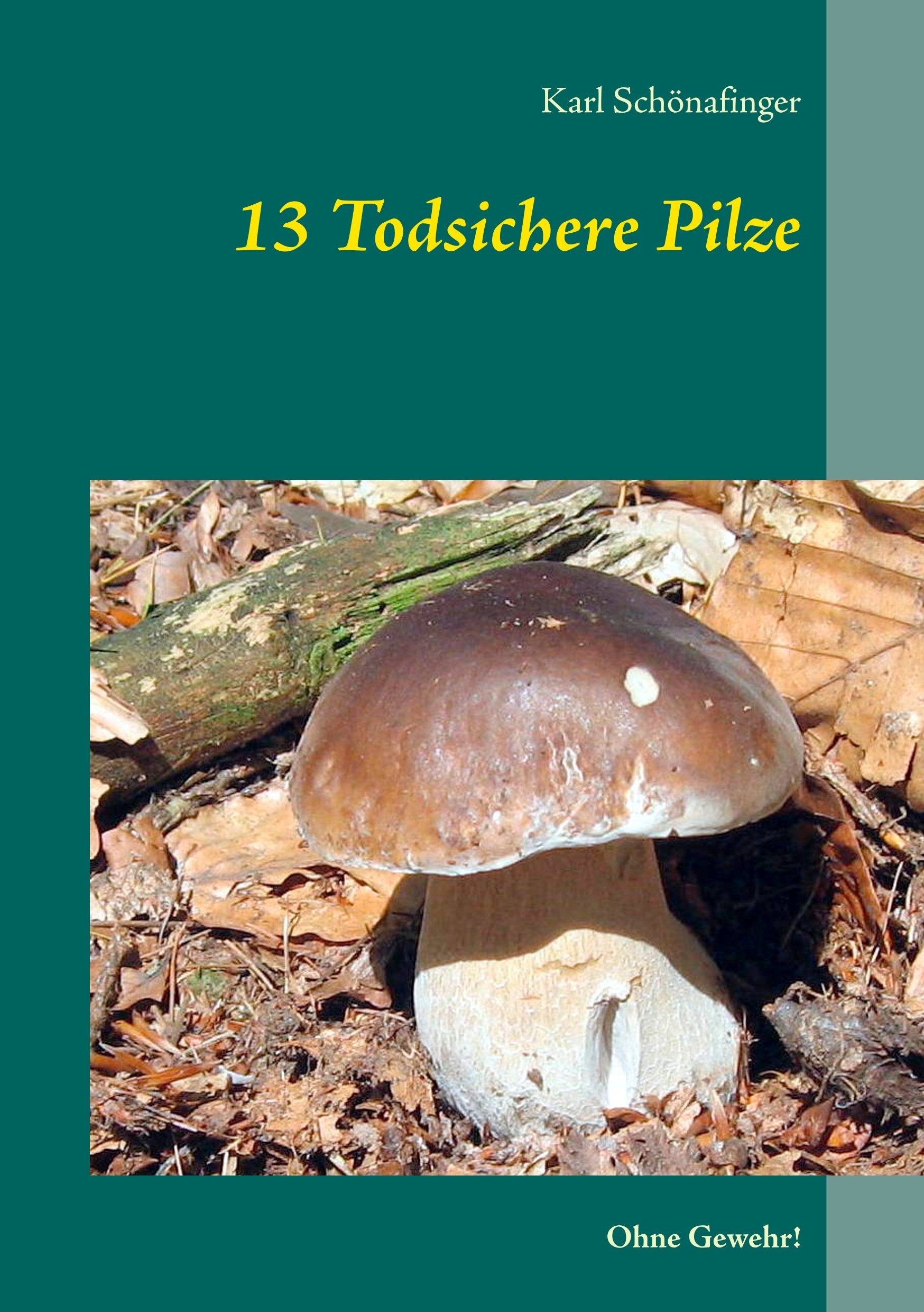 13 Todsichere Pilze: Ohne Gewehr! Mathematics