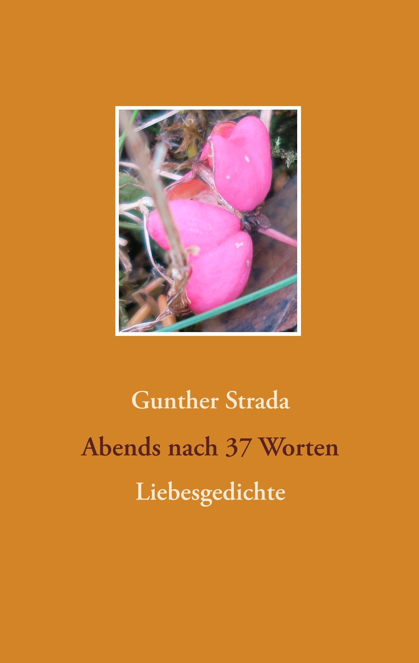 Abends nach 37 Worten: Liebesgedichte book
