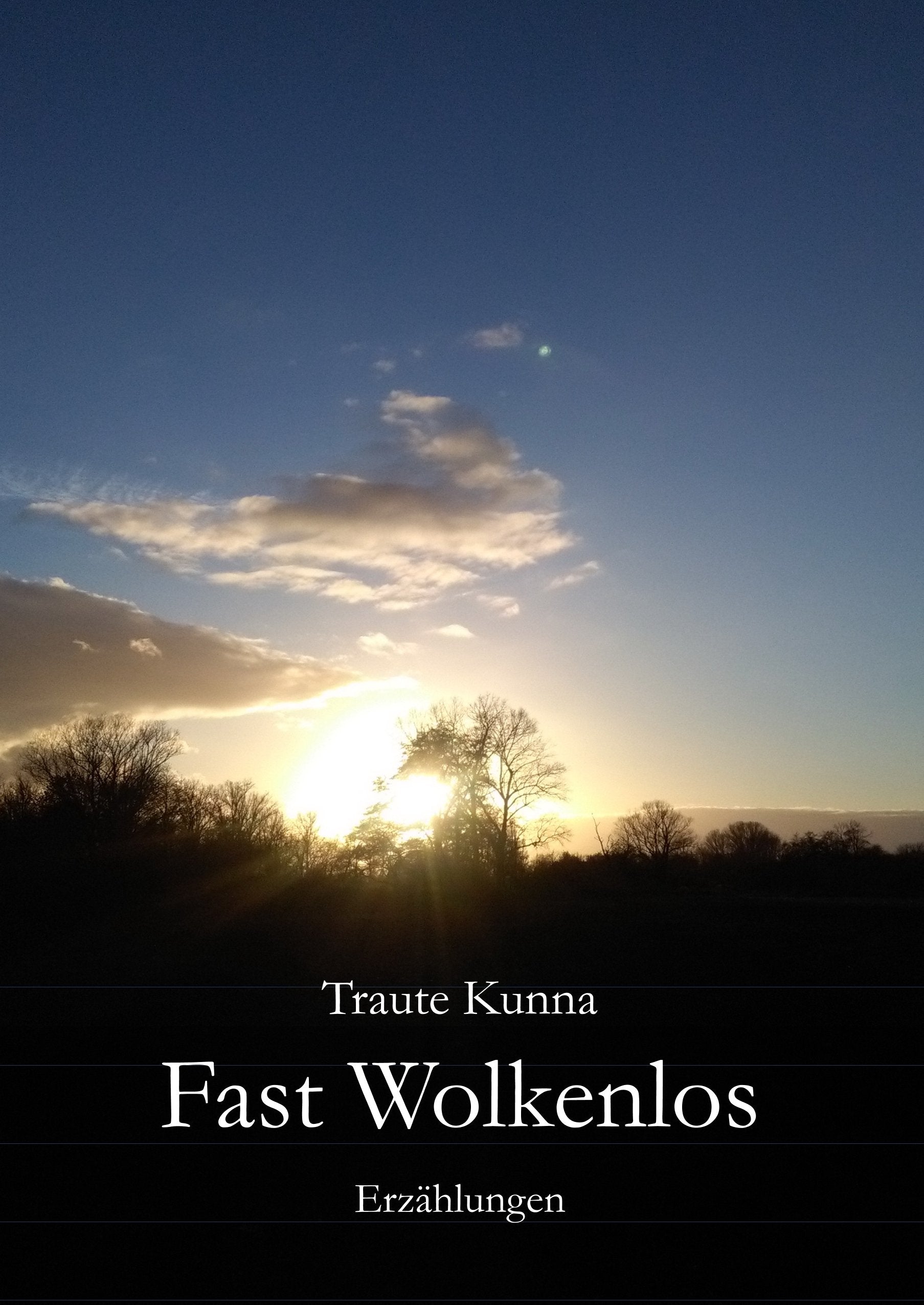 Fast wolkenlos: Erzählungen Essays & Short Stories