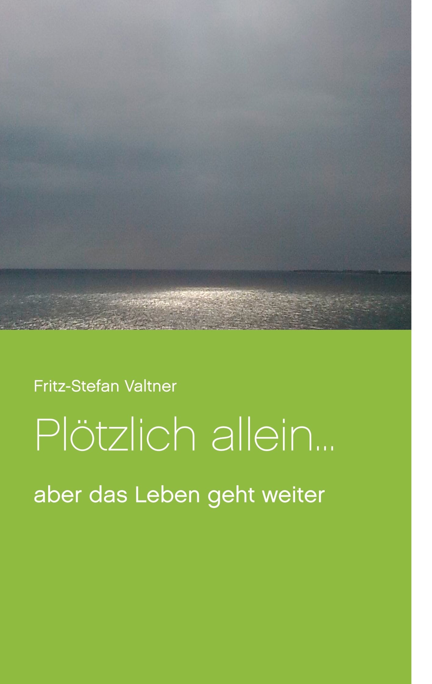 Plötzlich allein ...: aber das Leben geht weiter Art & Literature