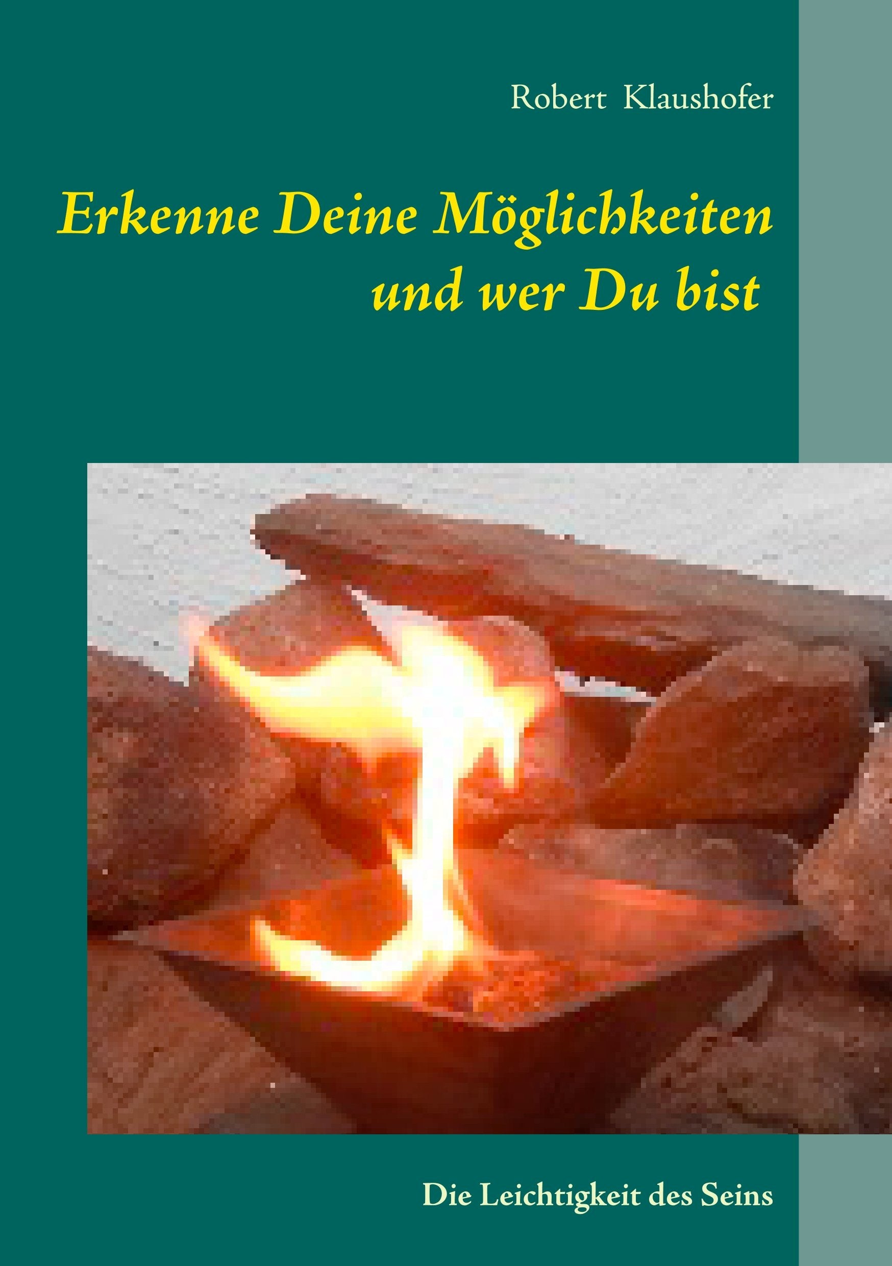 Erkenne Deine Möglichkeiten und wer Du bist book