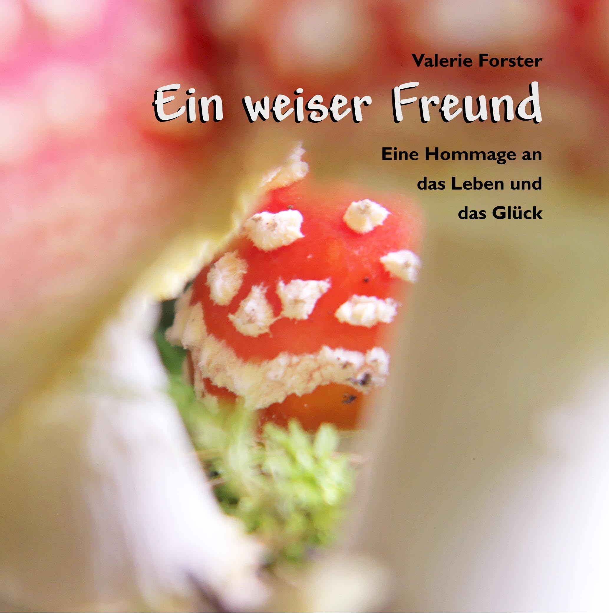 Ein weiser Freund Essays & Short Stories
