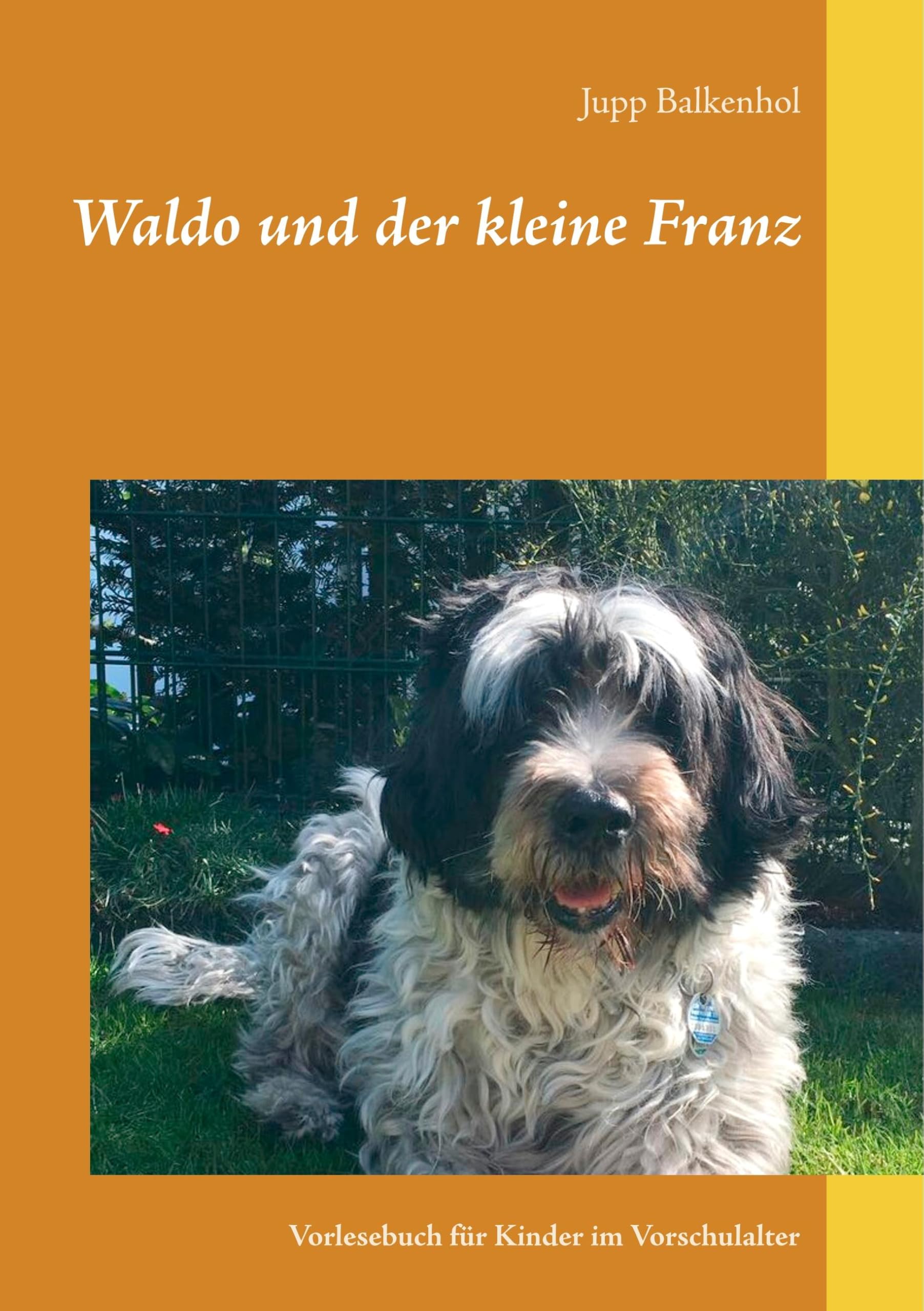 Waldo und der kleine Franz: Vorlesebuch für Kinder im Vorschulalter Novels & Short Stories