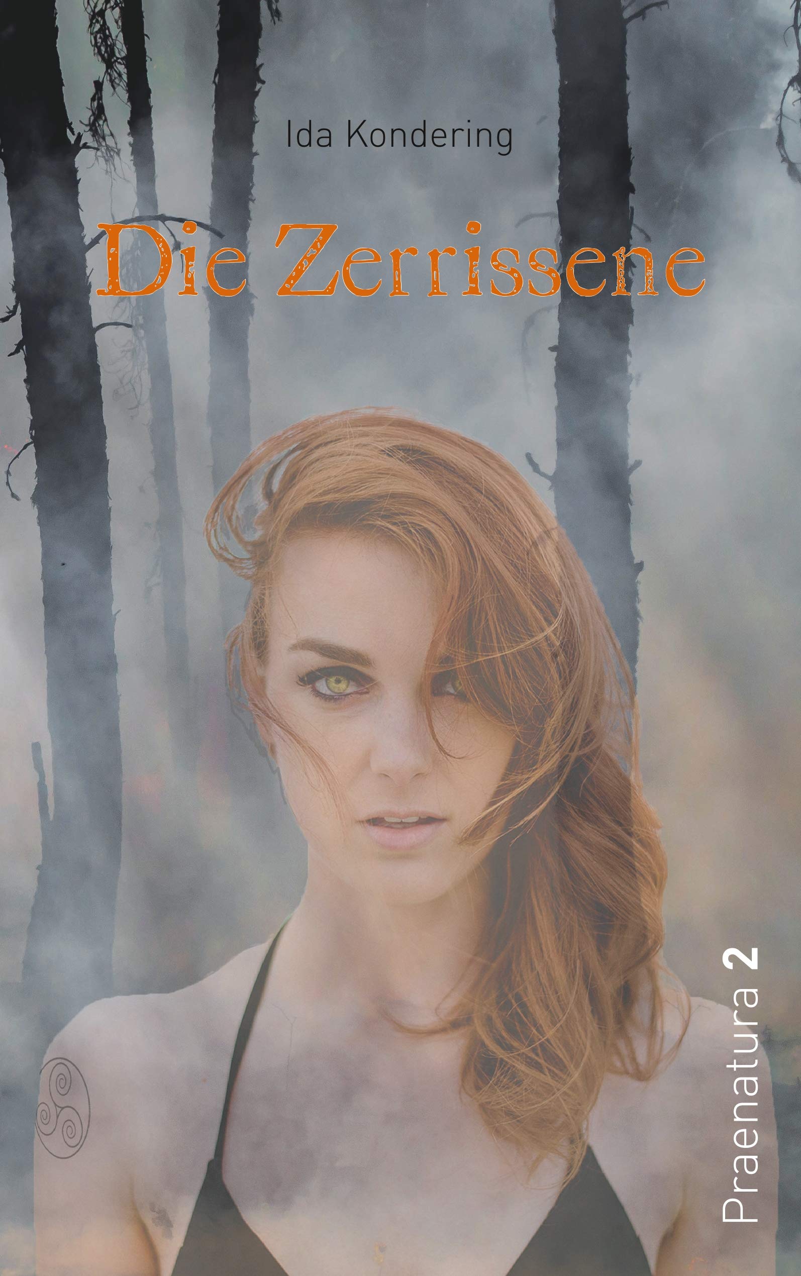Die Zerrissene Historical Fiction
