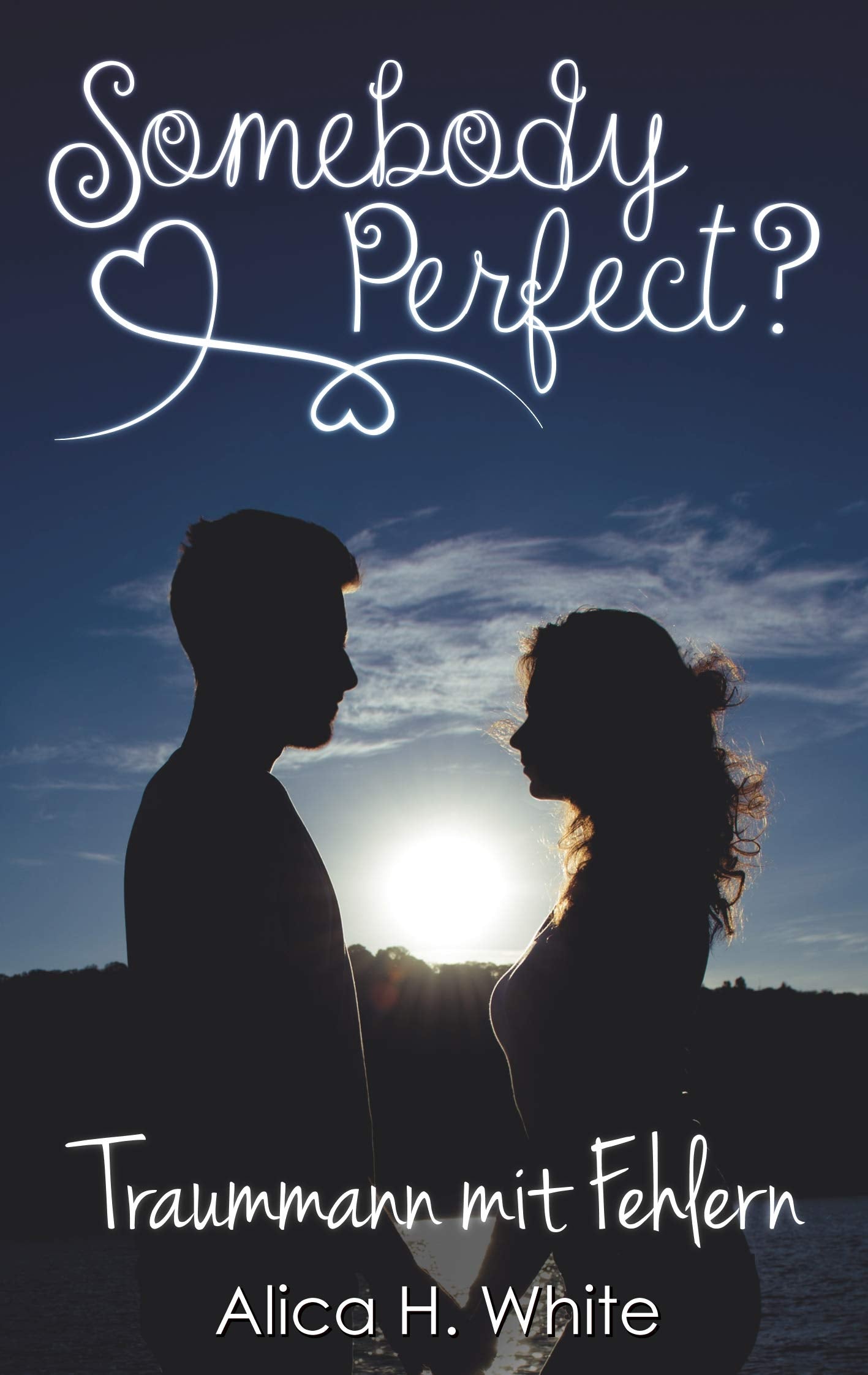 Somebody Perfect?: Traummann mit Fehlern Contemporary literature