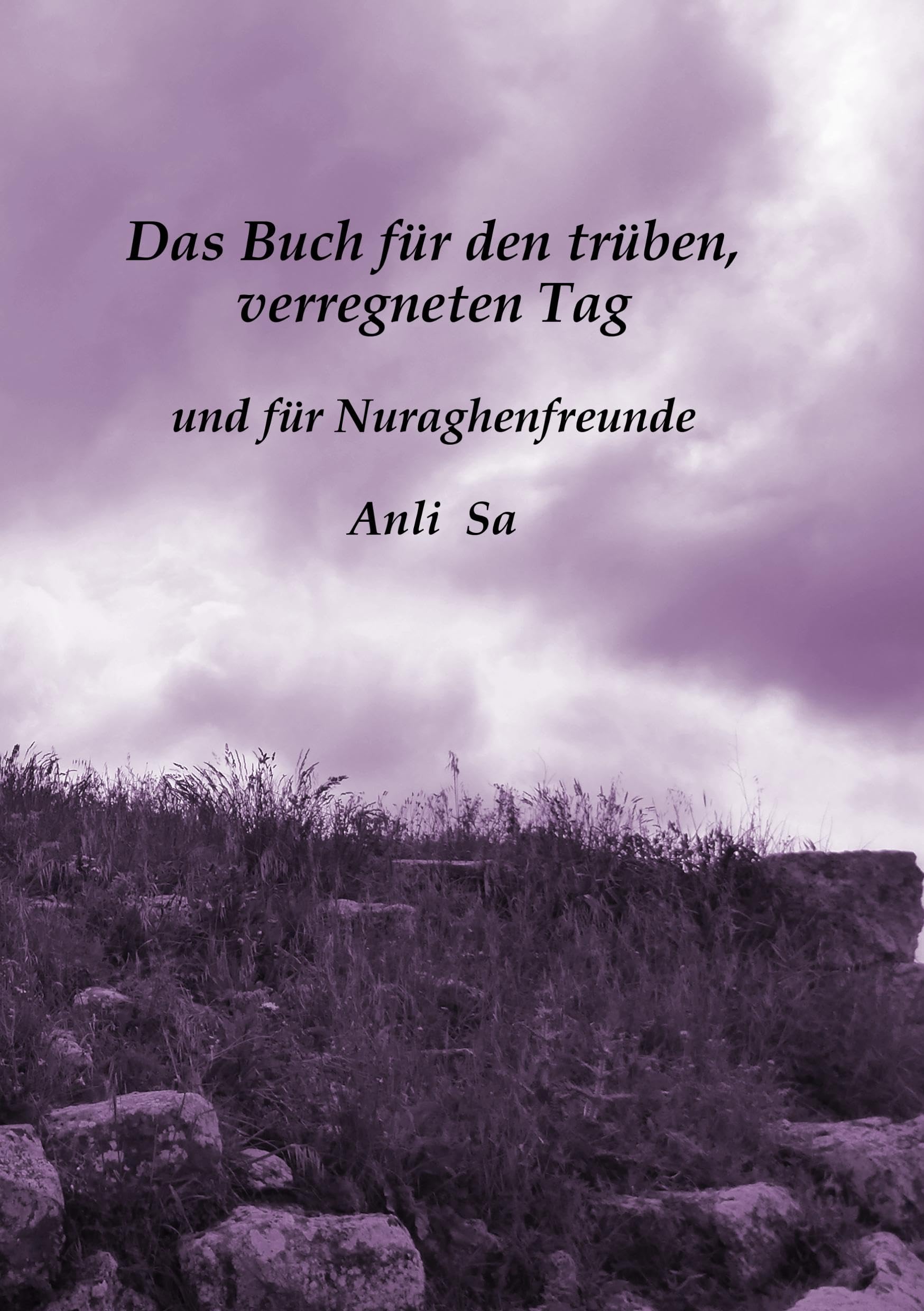 Das Buch für den trüben, verregneten Tag Historical Fiction
