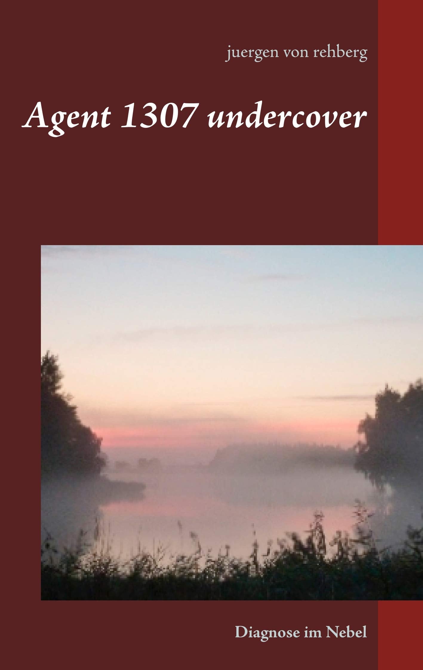Agent 1307 undercover: Diagnose im Nebel Contemporary literature