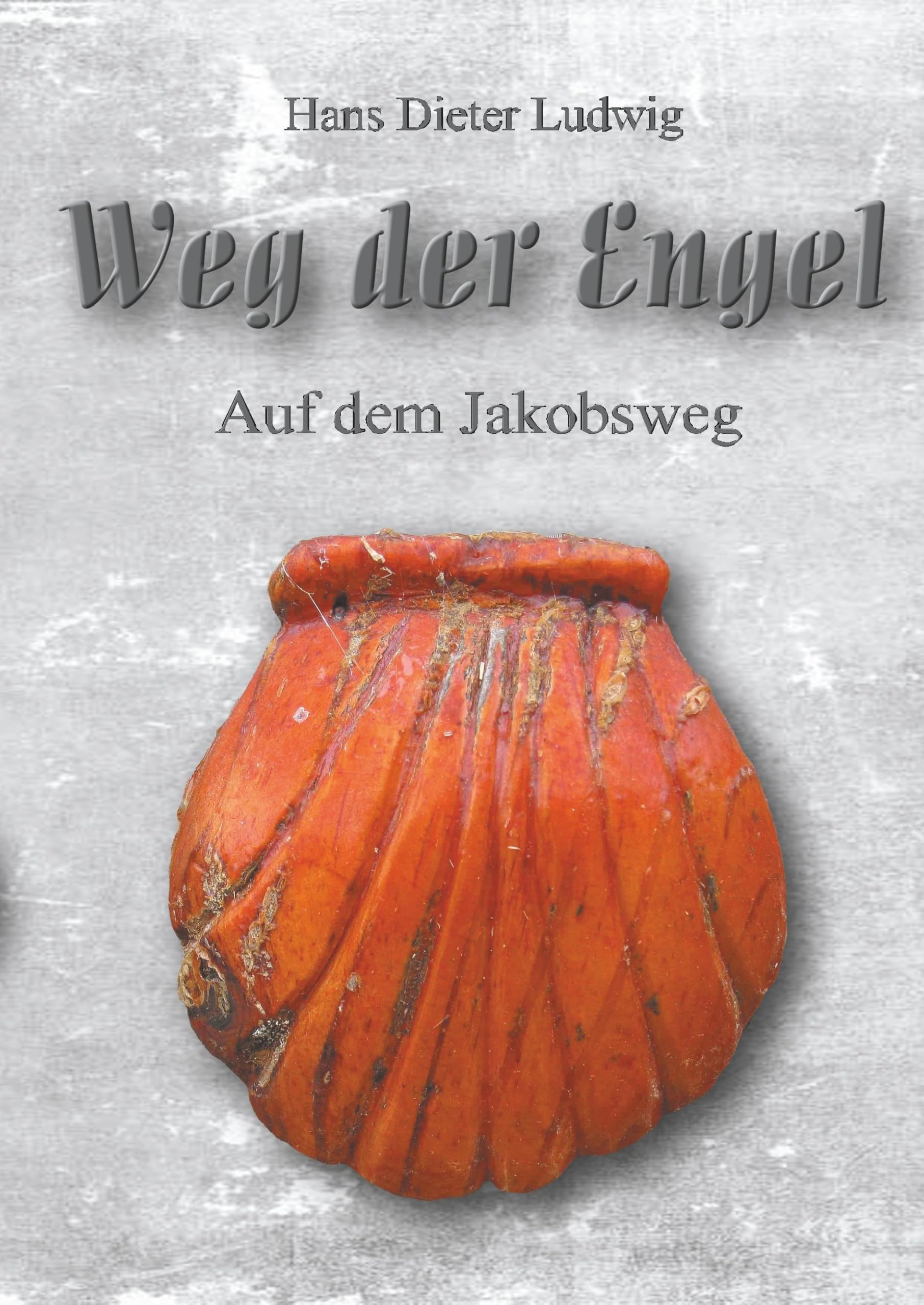 Weg der Engel: Auf dem Jakobsweg Leisure & Fun