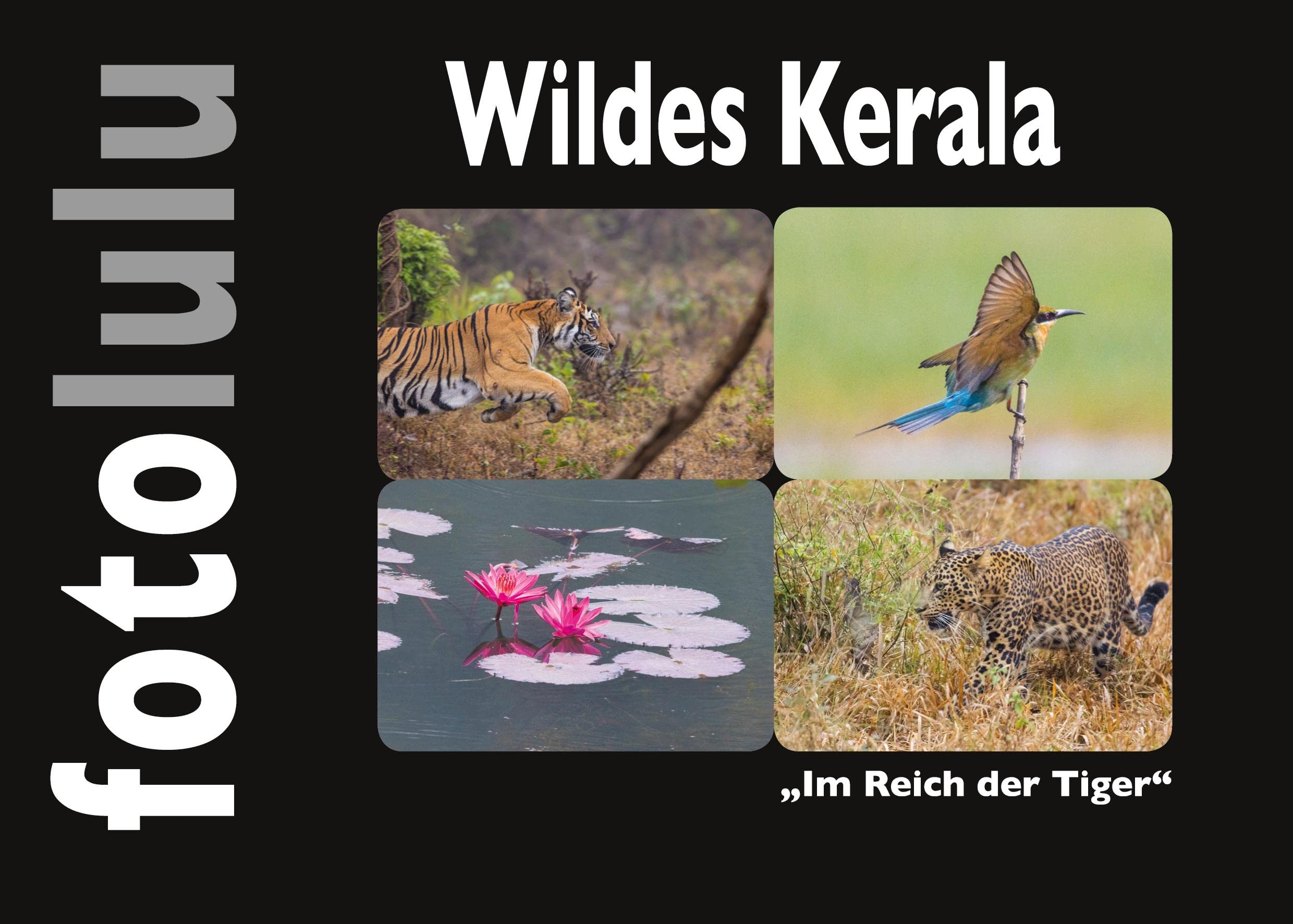 Wildes Kerala: Im Reich der Tiger Leisure, Home & Garden
