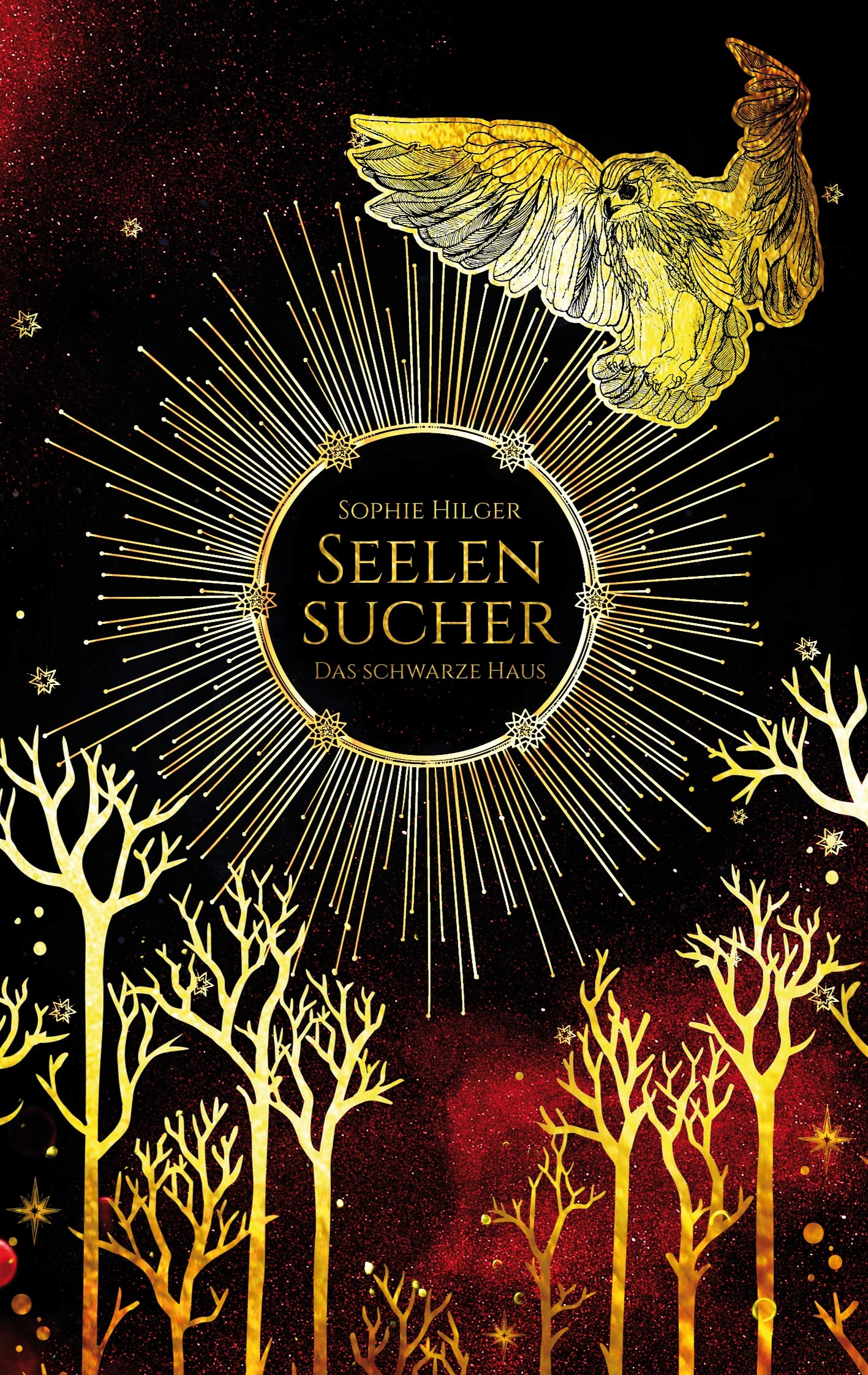 Seelensucher: Das schwarze Haus Historical Fiction