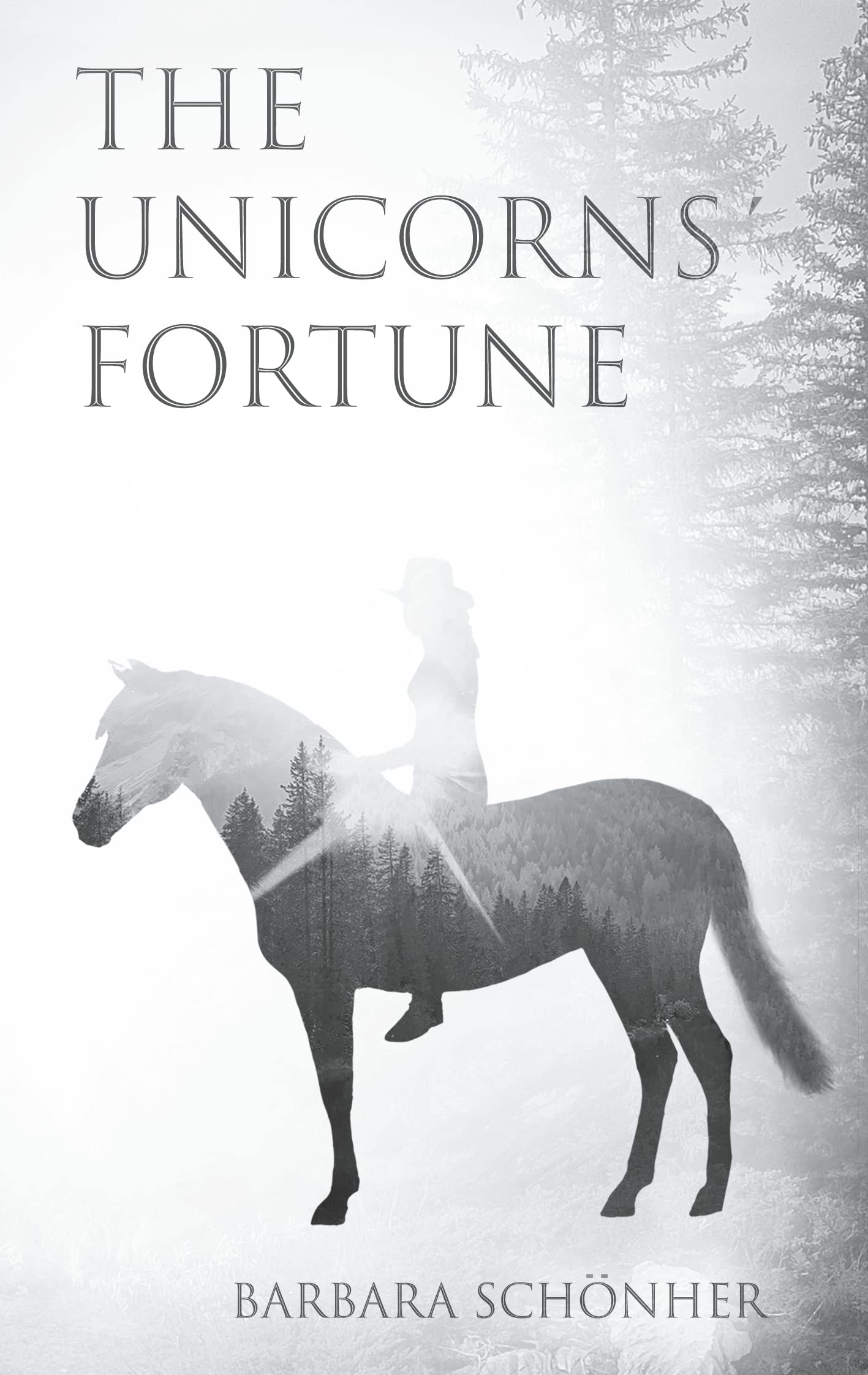The Unicorns' Fortune Contemporary literature Books