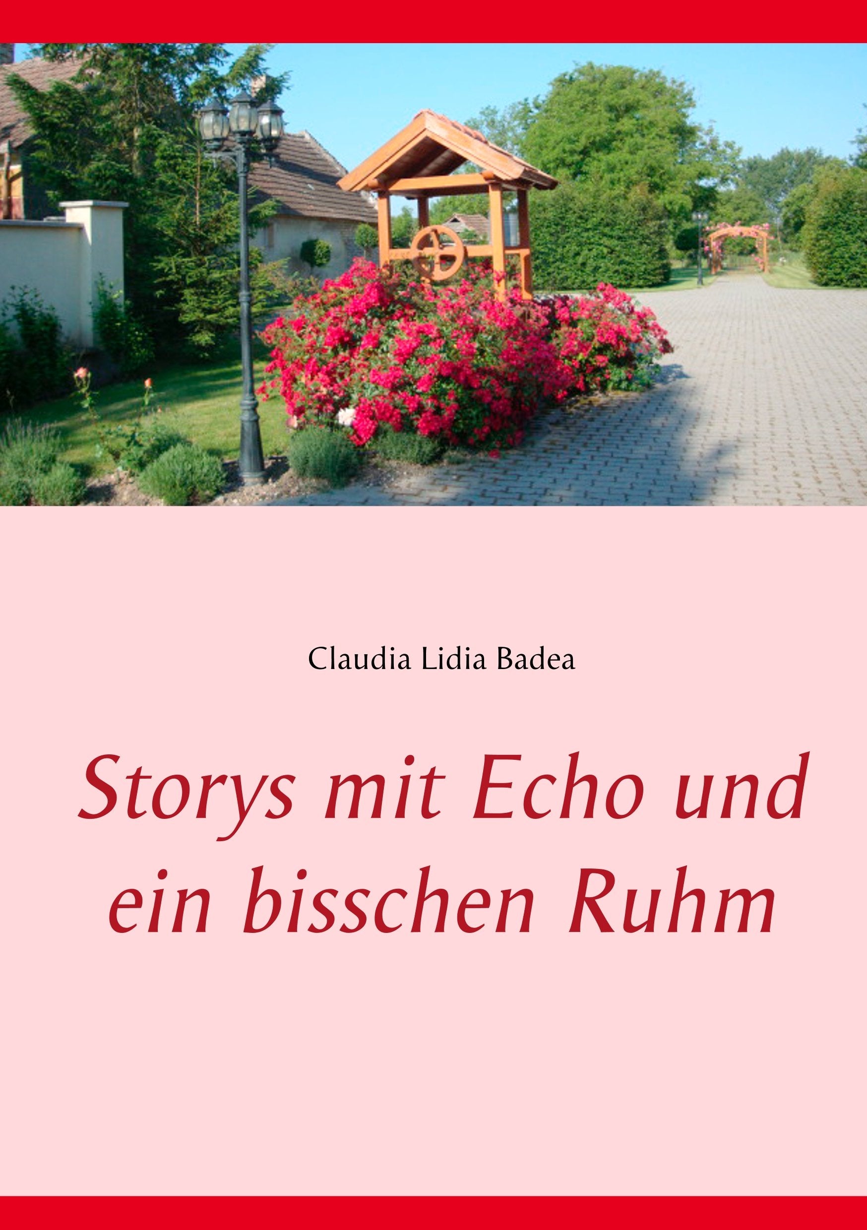 Product Image: Storys mit Echo und ein bisschen Ruhm