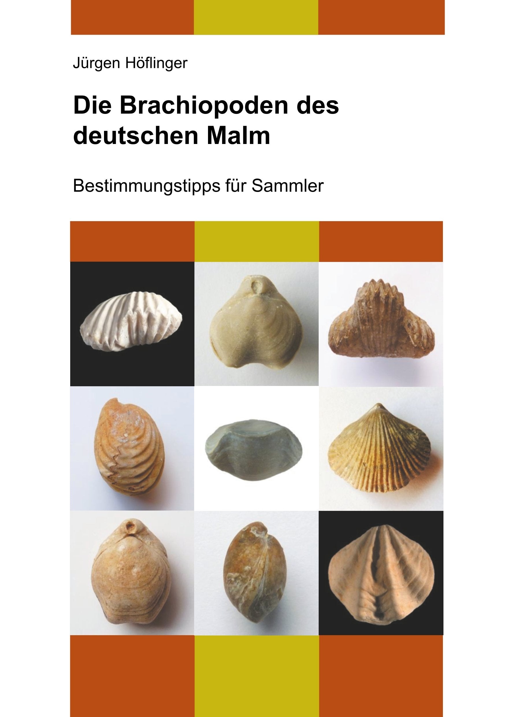 Die Brachiopoden des deutschen Malm: Bestimmungstipps für Sammler Business & Technology