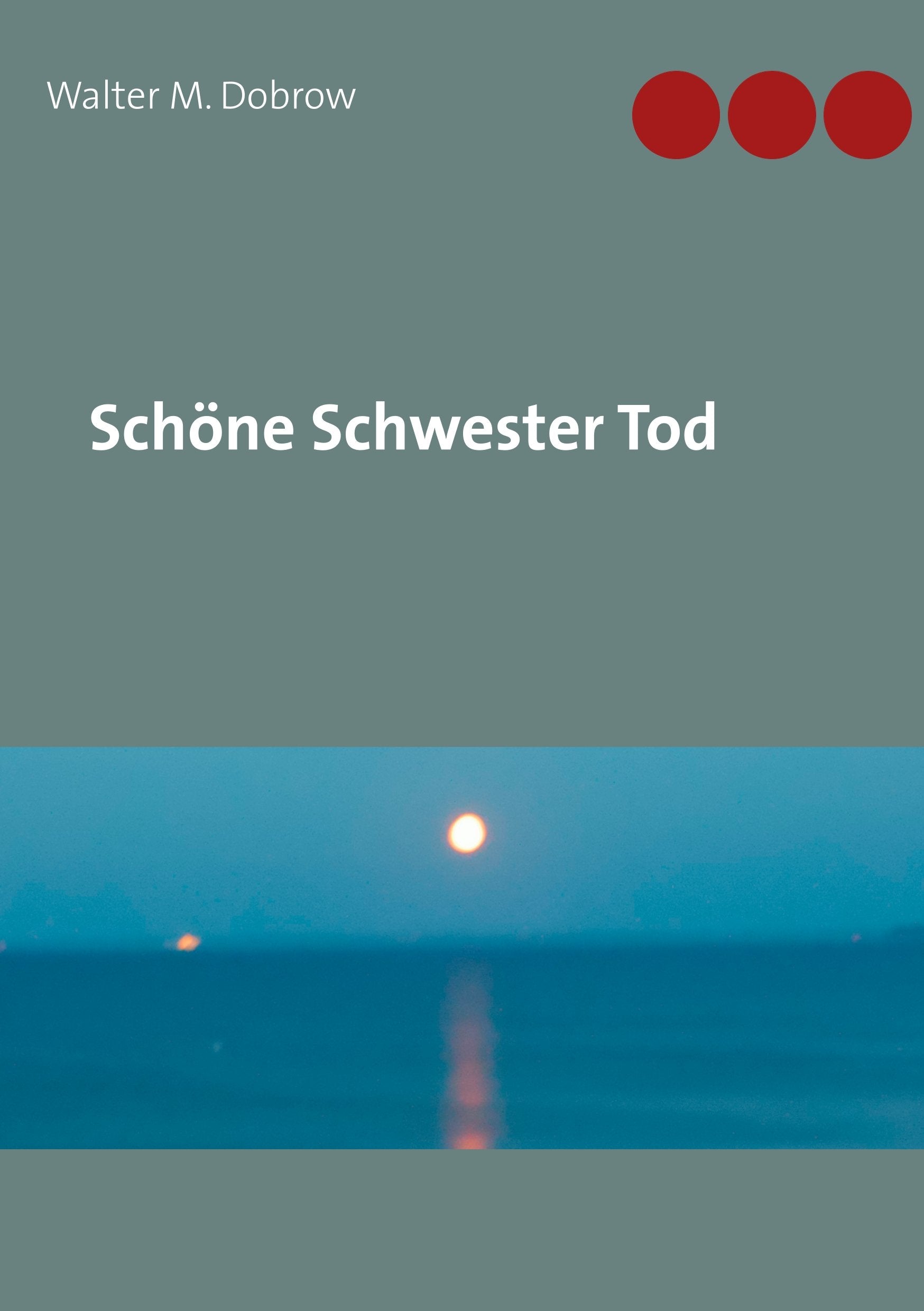 Schöne Schwester Tod Contemporary literature Books