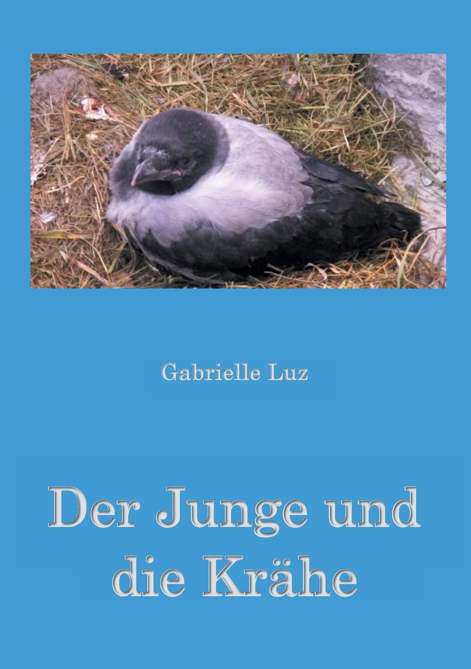 Product Image: Der Junge und die Krähe