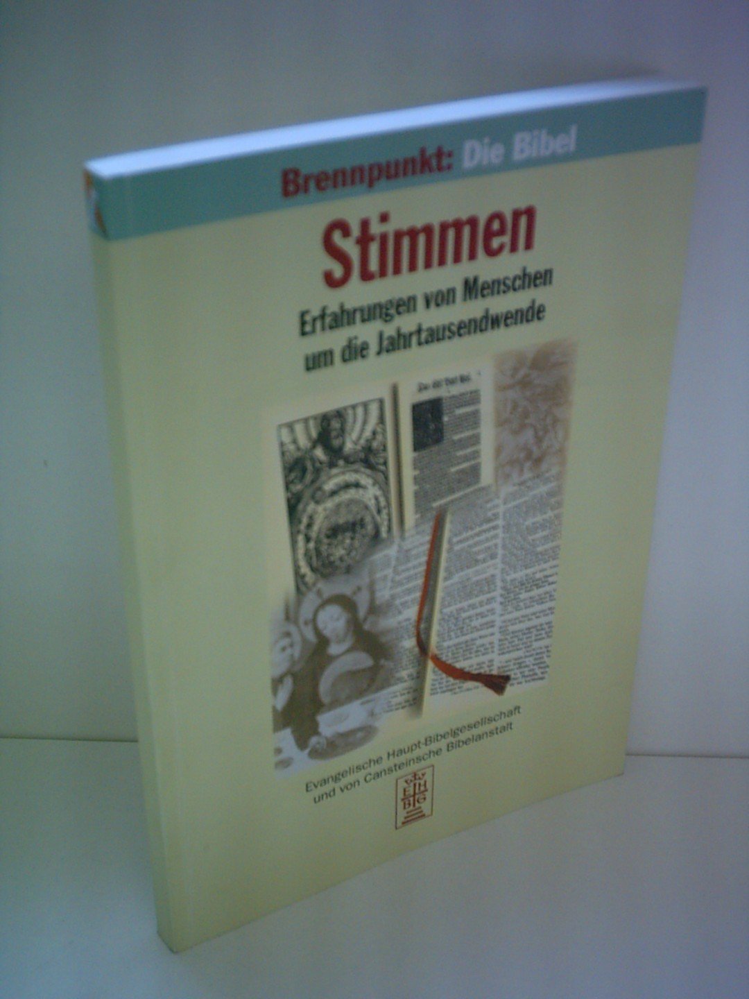 Brennpunkt: Die Bibel, Bd.2, Stimmen: Erfahrungen von Menschen um die Jahrtausenwende Religion & Esotericism
