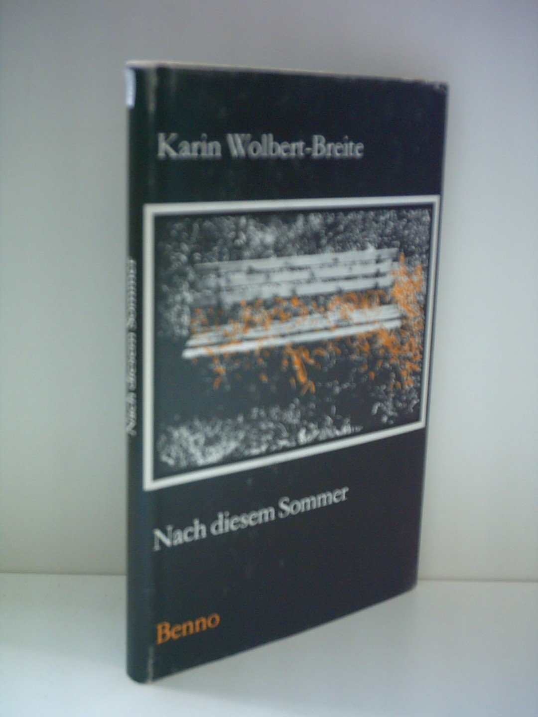 Nach diesem Sommer. Ein autobiographischer Bericht. Books
