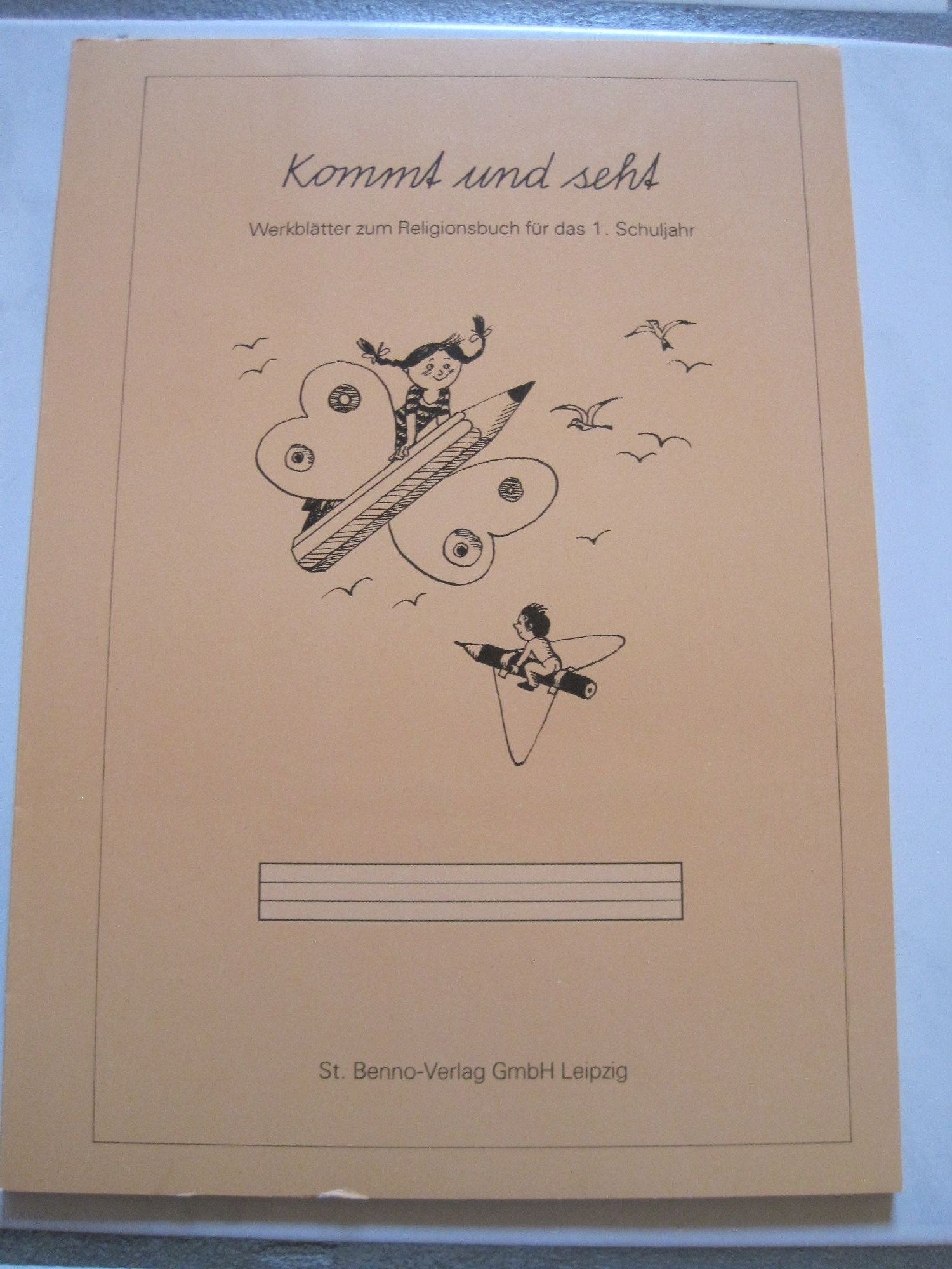 Kommt und seht, Werkblätter zum Religionsbuch für das 1. Schuljahr Books