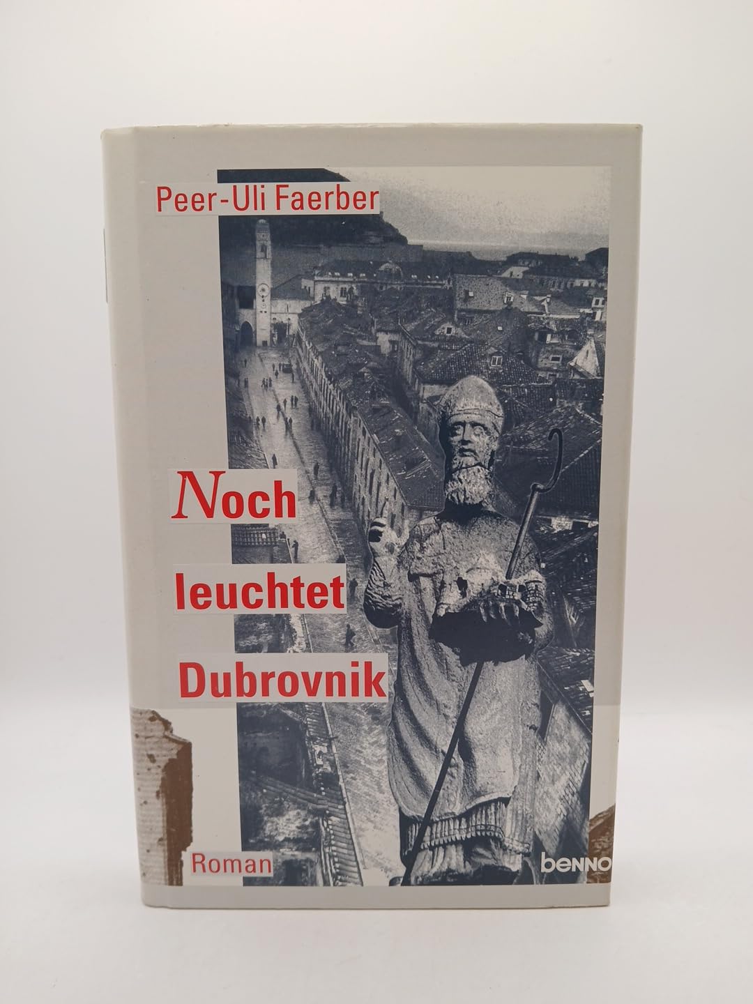 Noch leuchtet Dubrovnik: Roman aus dem jugoslawischen Bürgerkrieg Books