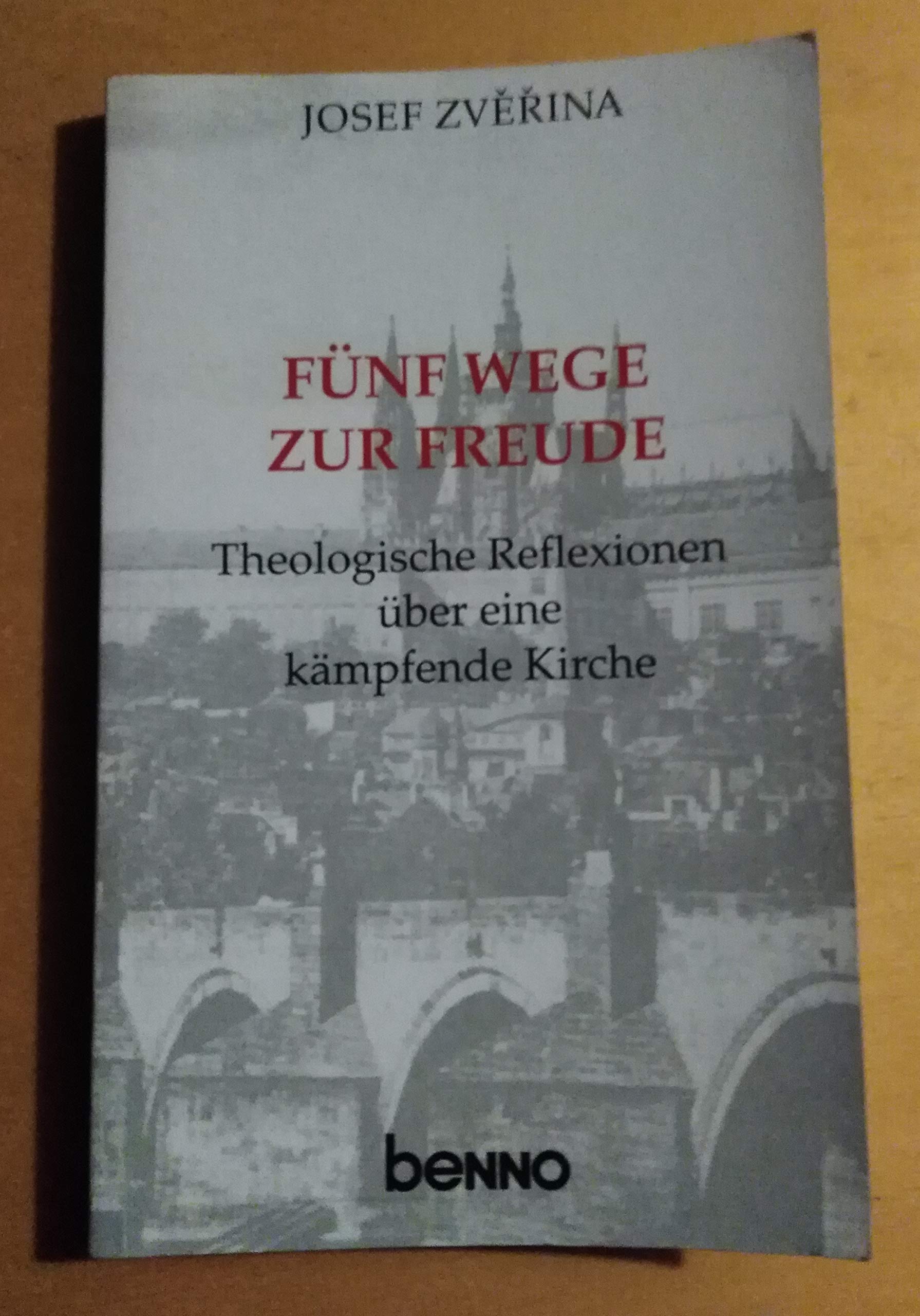 Fünf Wege zur Freude. Theologische Reflexionen über eine kämpfende Kirche Books