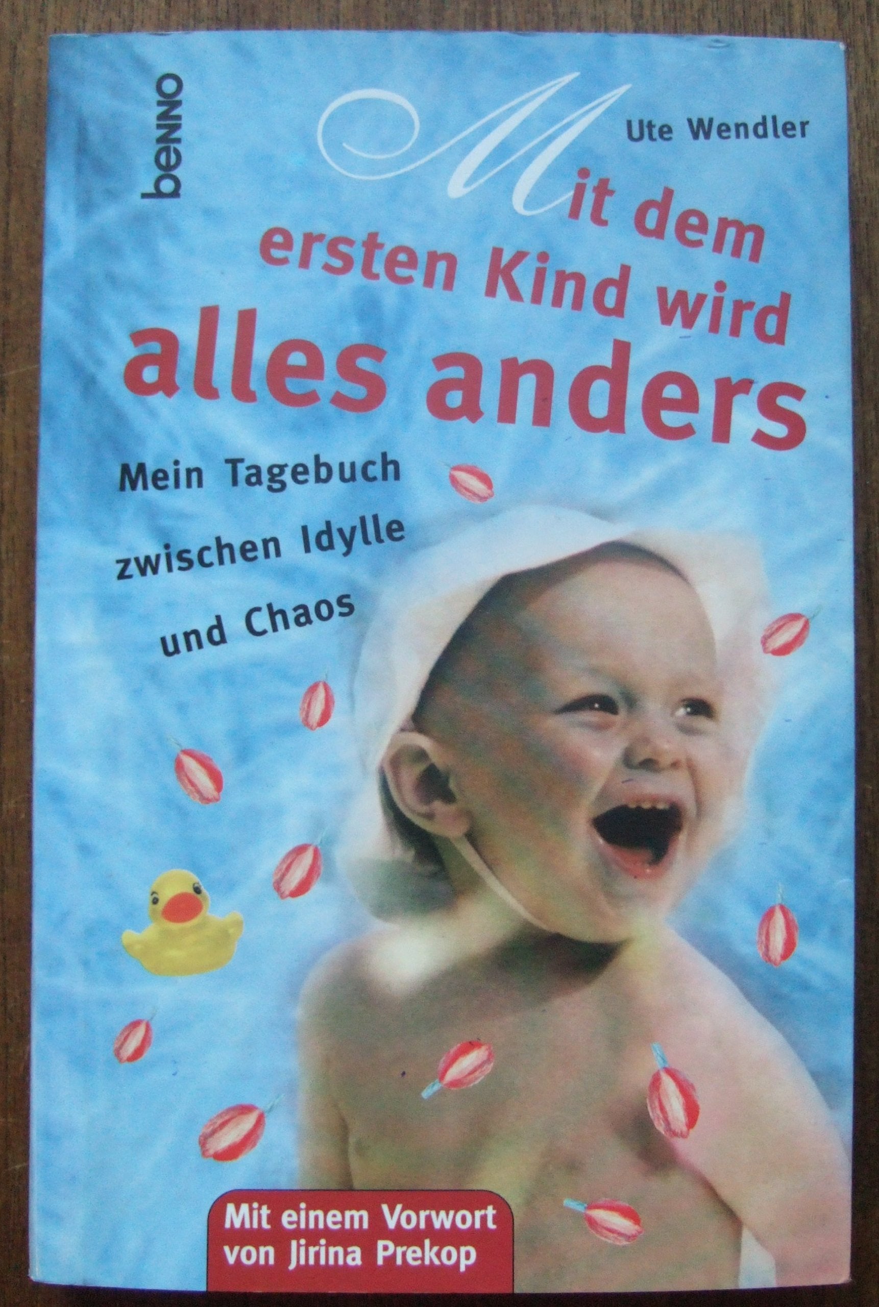 Mit dem ersten Kind wird alles anders. Mein Tagebuch zwischen Idylle und Chaos. Parents & Children