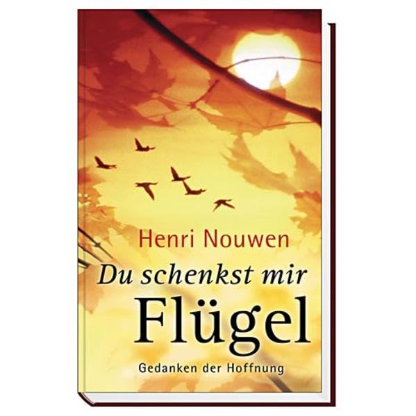 Du schenkst mir Flügel: Gedanken der Hoffnung Books