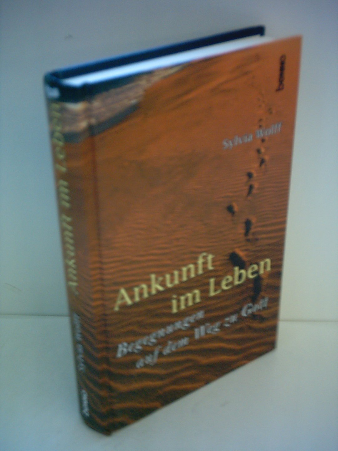 Ankunft im Leben. Begegnungen auf dem Weg zu Gott Books