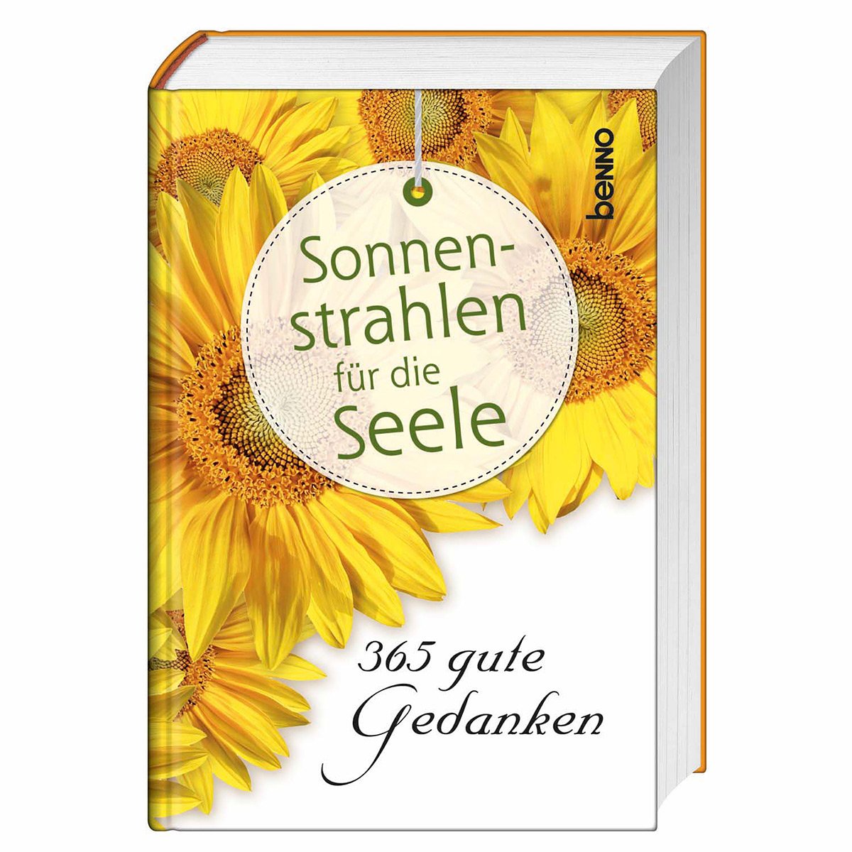 Sonnenstrahlen für die Seele: 365 gute Gedanken Religion & Esotericism