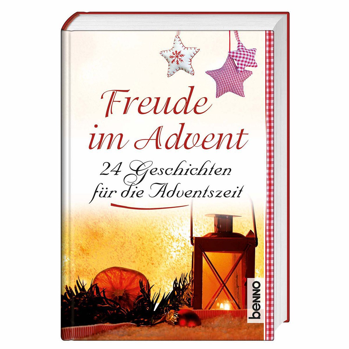 Freude im Advent: 24 Geschichten für die Adventszeit Fiction