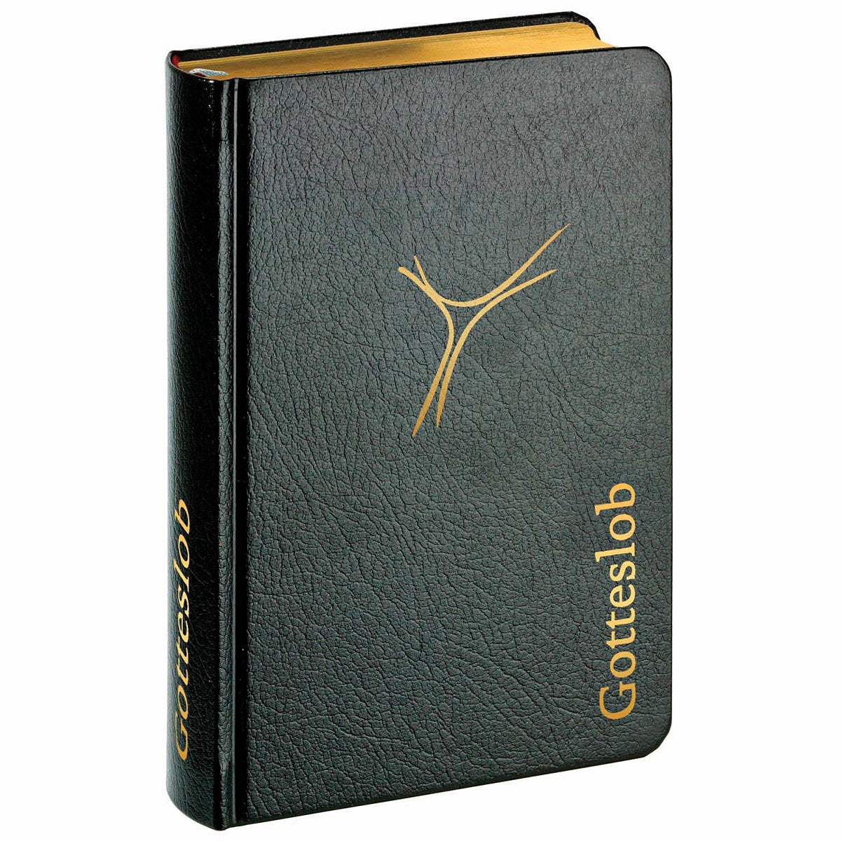 Gotteslob Premium-Ausgabe Leder schwarz - Diese ISBN erscheint nicht!! Bitte nutzen Sie die Nachfolge-ISBN 9783746240053: für die (Erz-)Bistümer ... - Katholisches Gebet- und Gesangbuch Religion & Esotericism